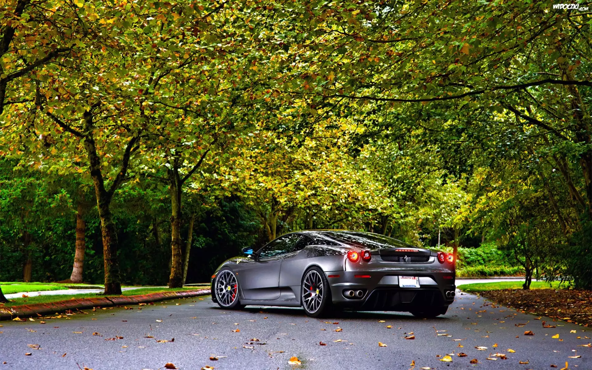 Ferrari, F430, Jesień, Droga, Drzewa