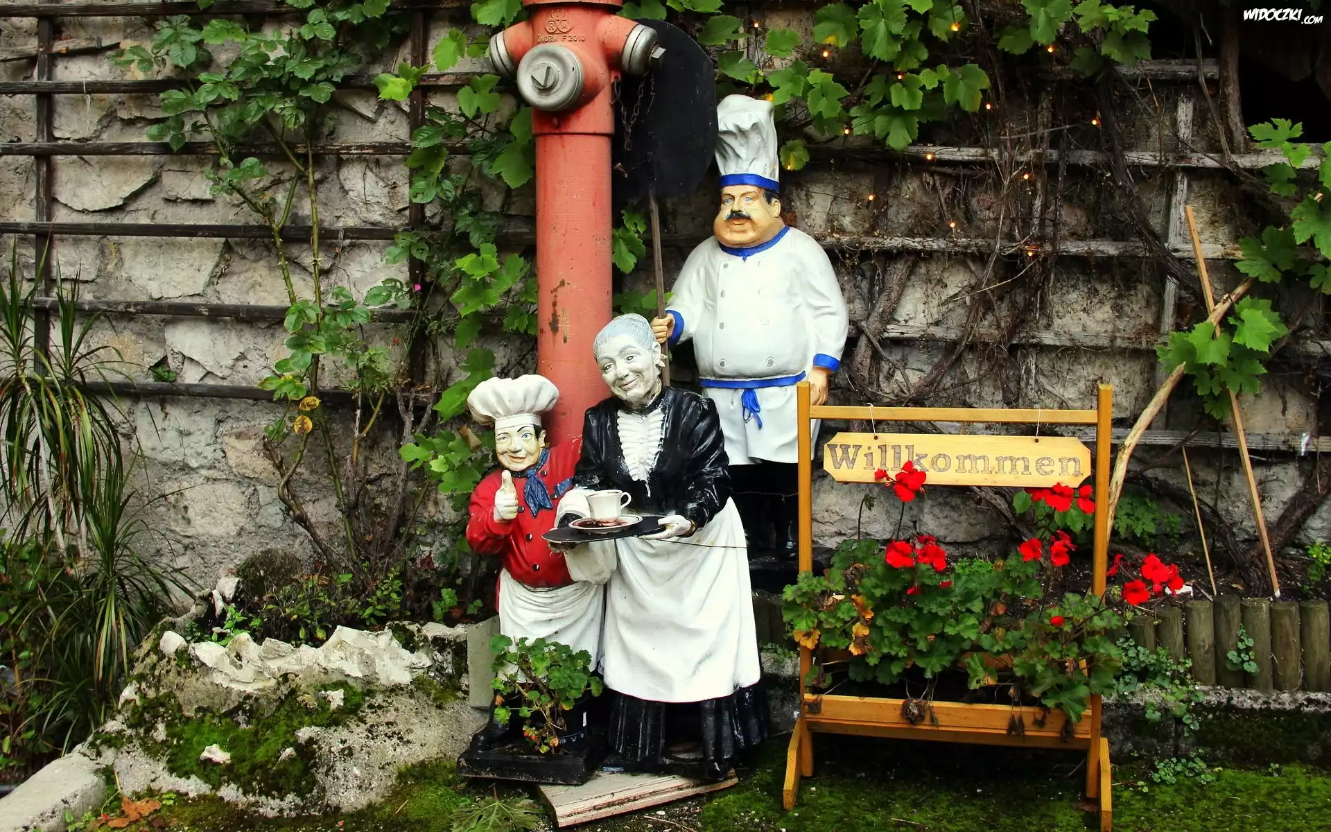 Figury, Kucharz, Gospodyni, Kwiaty, Pelargonie, Ogródek