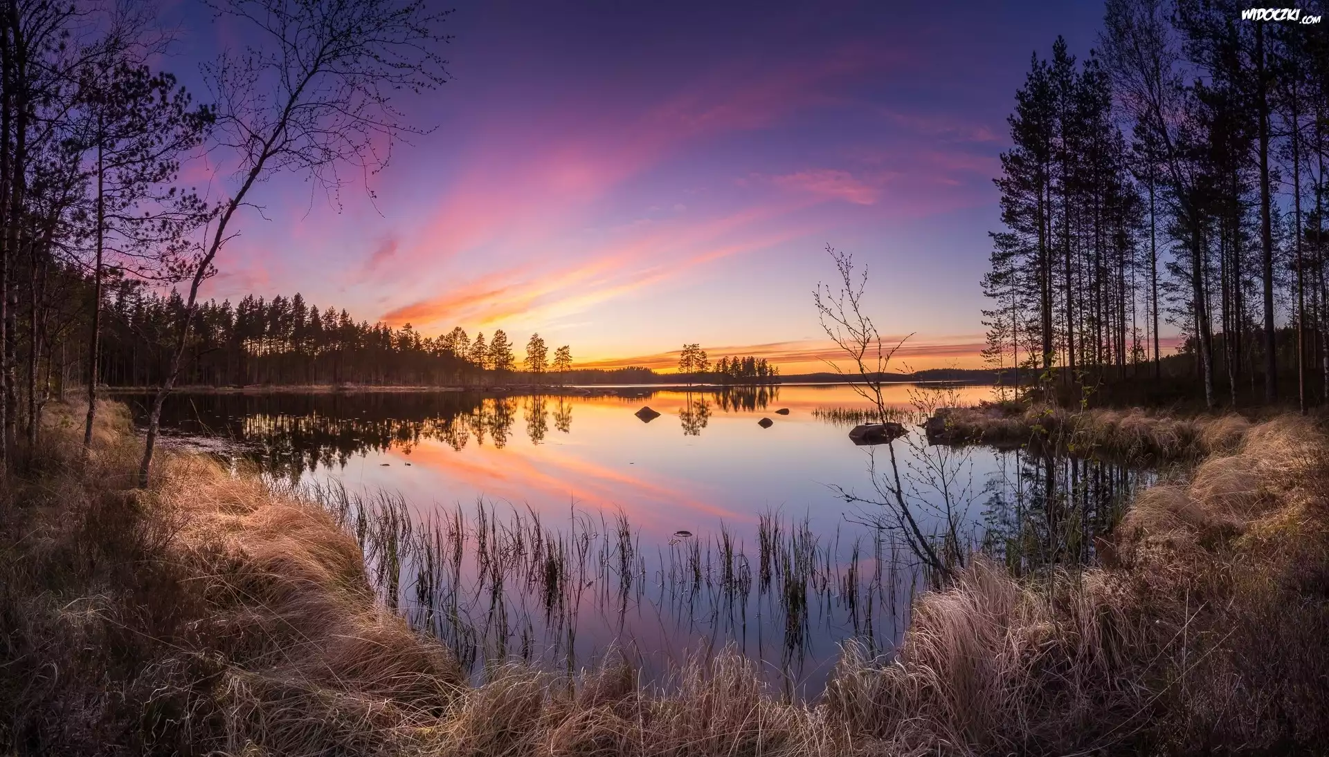 Finlandia, Gmina Ruovesi, Park Narodowy Helvetinjärvi, Jezioro Haukkajärvi, Drzewa, Zachód słońca