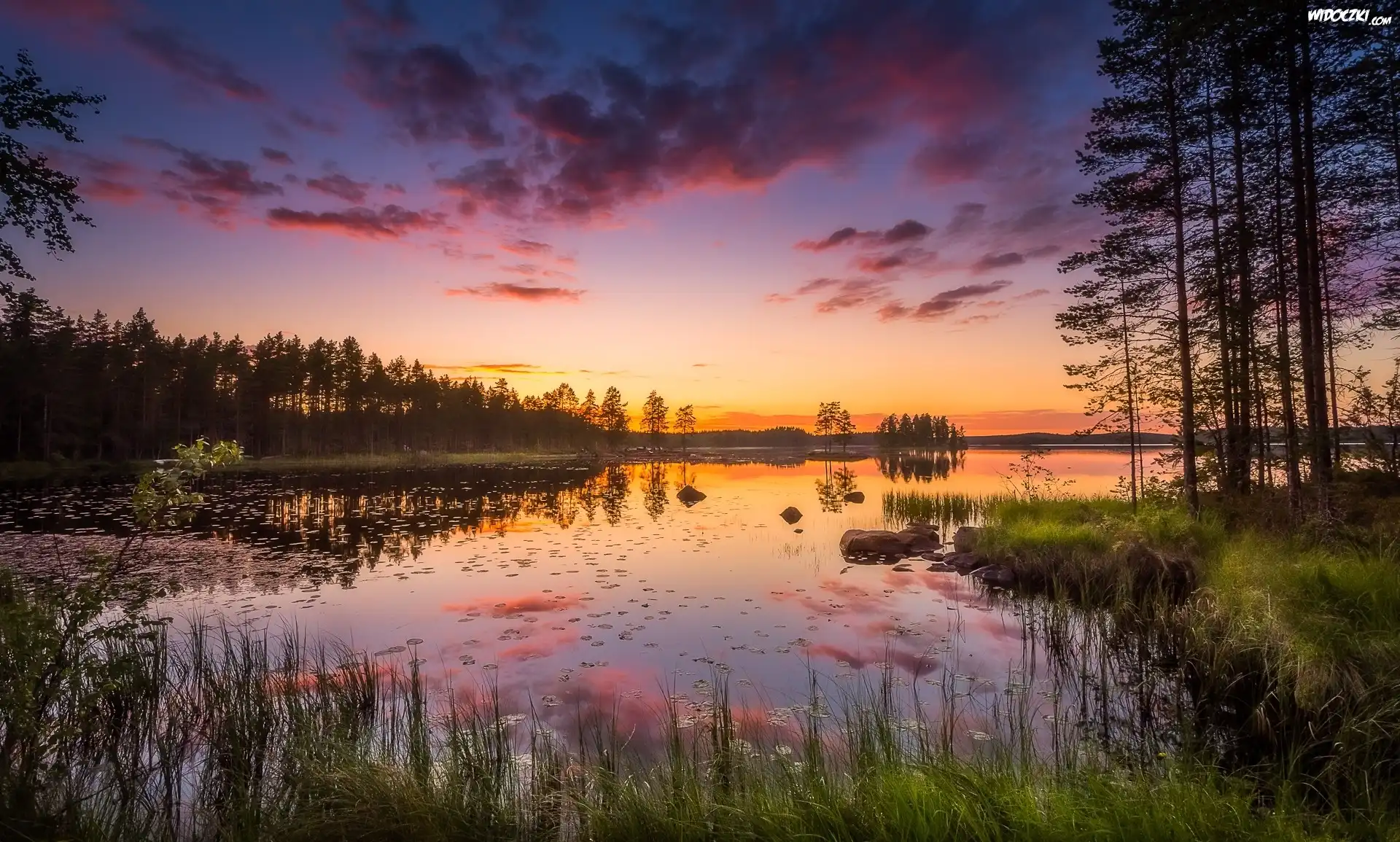 Finlandia, Gmina Ruovesi, Park Narodowy Helvetinjärvi, Jezioro Haukkajärvi, Drzewa, Trawy, Zachód słońca, Chmury