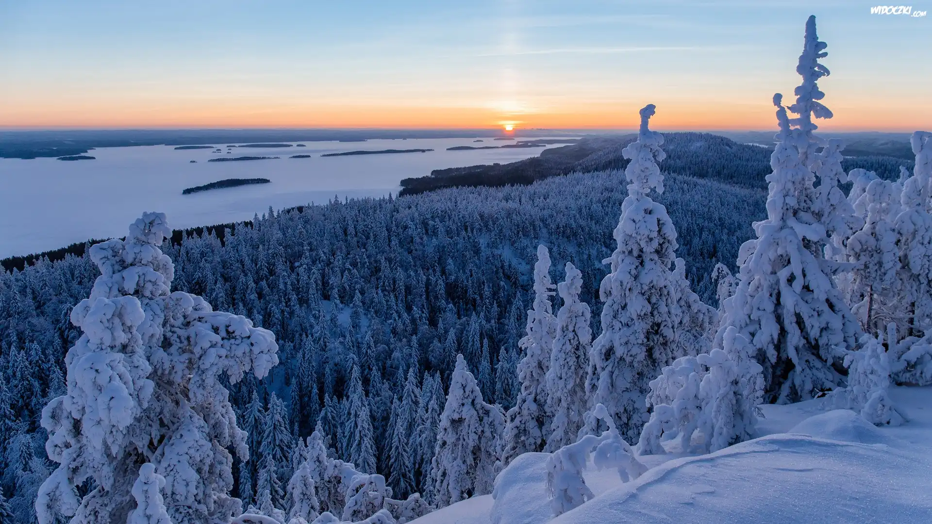 Finlandia, Karelia Północna, Park Narodowy Koli, Lieksa, Jezioro Pielinen, Zima, Las, Wzgórza, Ośnieżone, Świerki, Zachód słońca