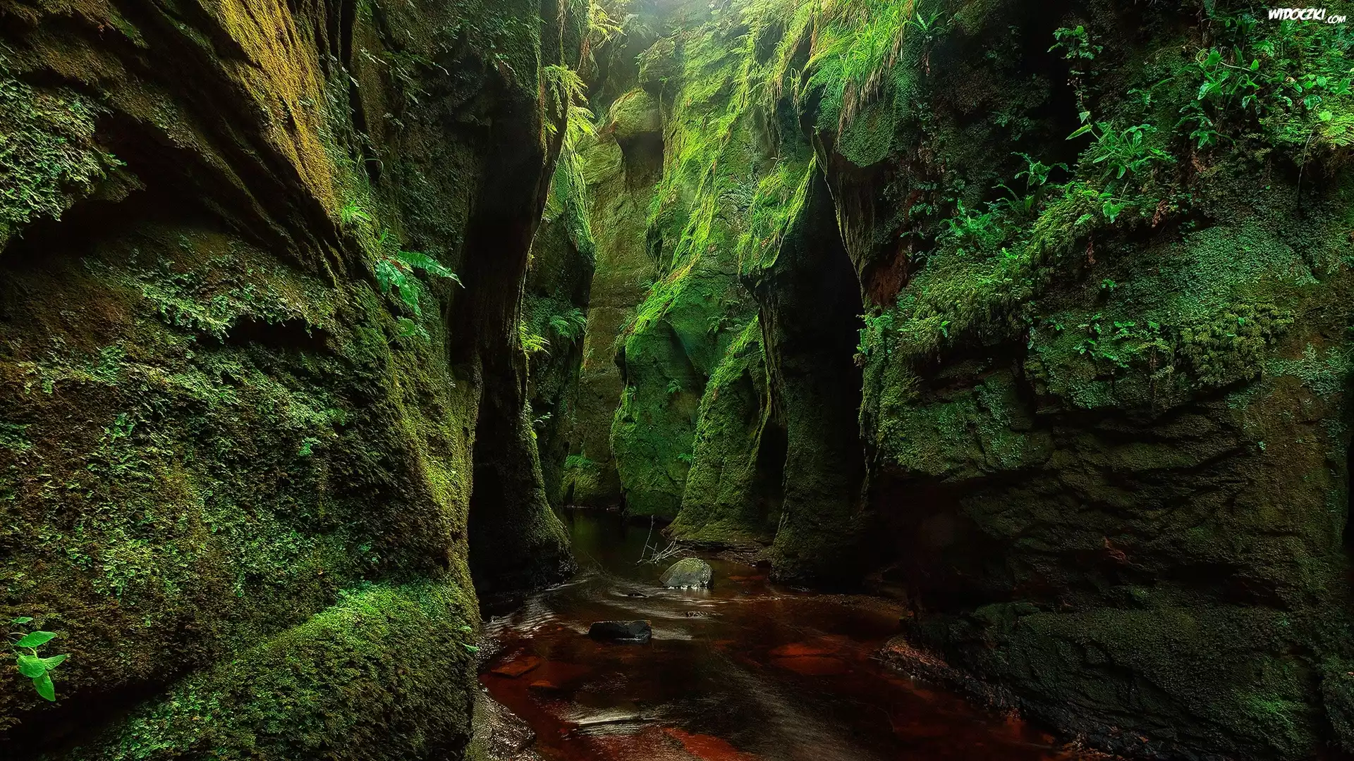Szkocja, Wąwóz Finnich Glen, Góry, Skały, Mech, Roślinność, Rzeka Carnock Burn