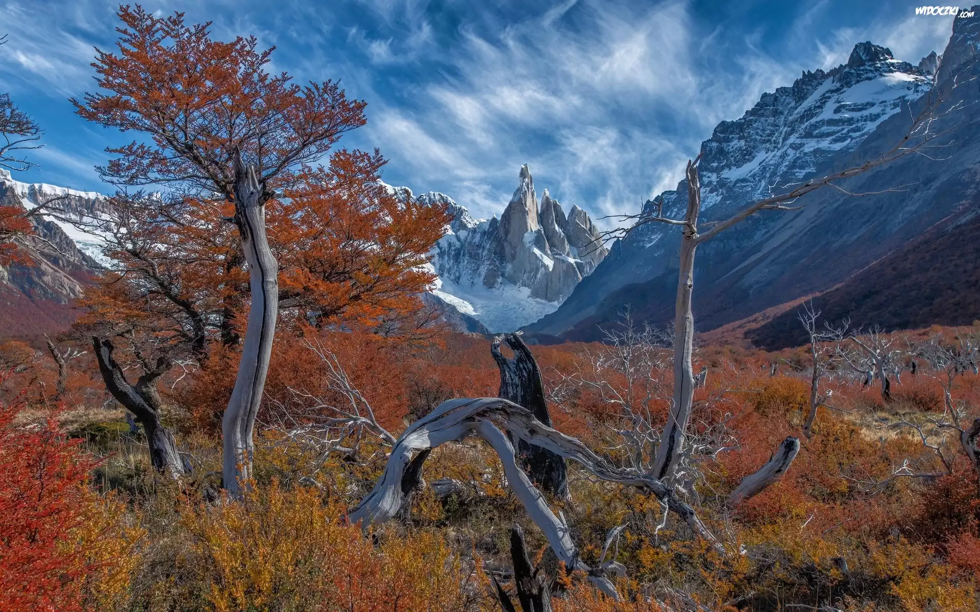 Argentyna, Patagonia, El Chalten, Góry, Mount Fitz Roy, Jesień, Drzewa, Konary