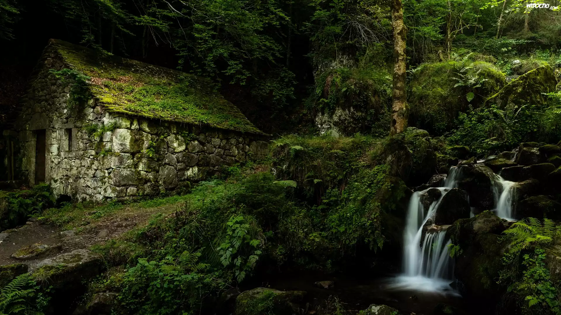 Francja, Gmina Laveissière, MÅ‚yn wodny Moulin de Chambeuil, Las, RoÅ›linność, Strumyk
