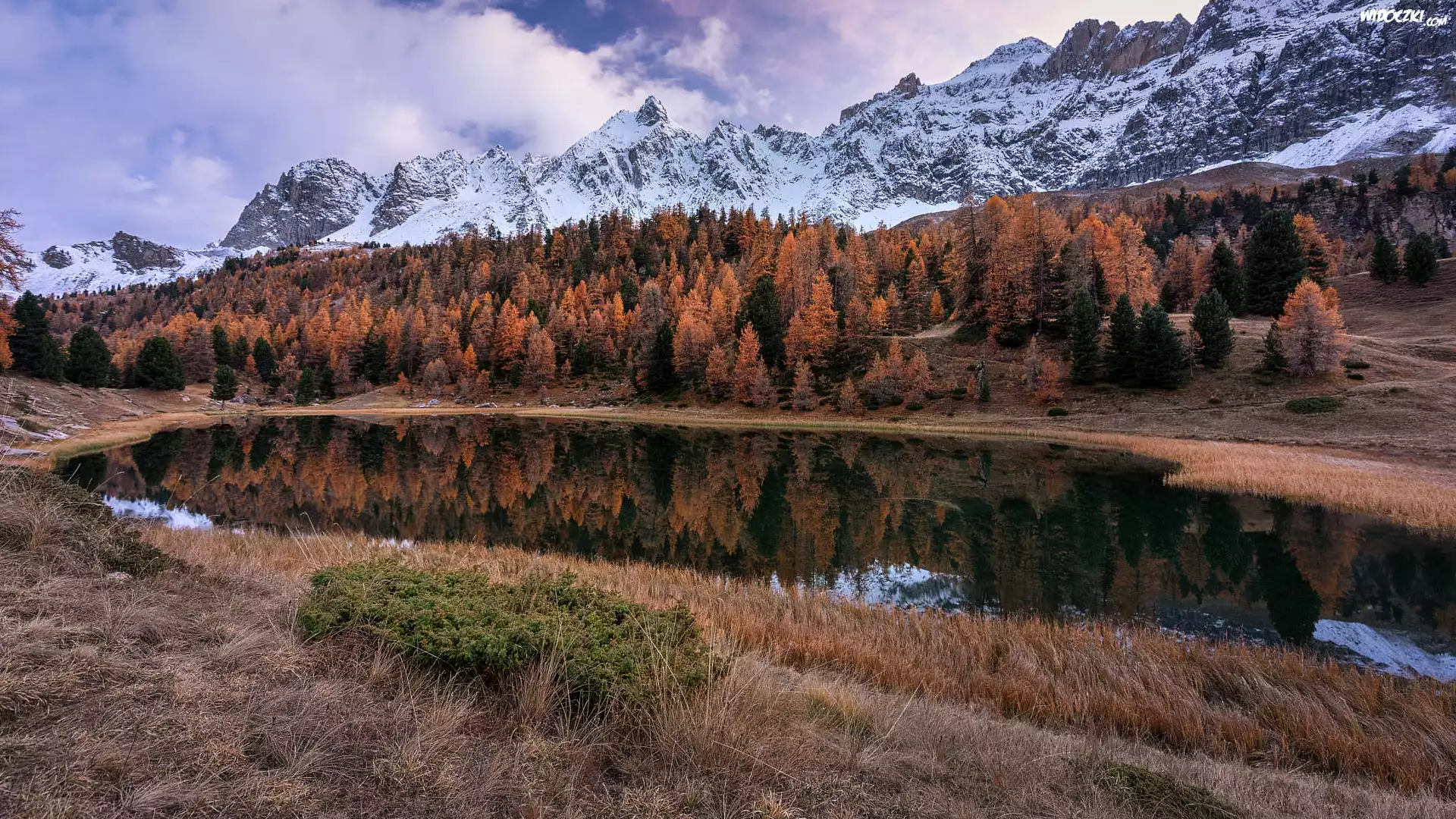 Ośnieżone, Góry, Jesienne, Drzewa, Jezioro, Lac Miroir, Ceillac, Francja