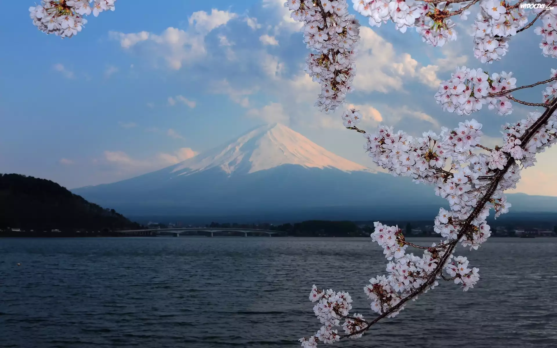 Góra, Fudżi, Wulkan, Jezioro, Most, Kwitnące, Drzewo, Japonia