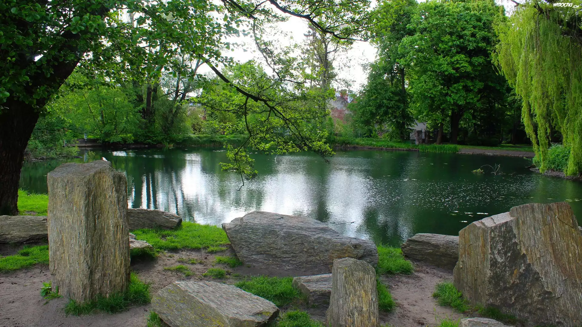 Polska, Gdańsk, Park Oliwski, Staw, Drzewa, Głazy, Zwisające, Gałęzie