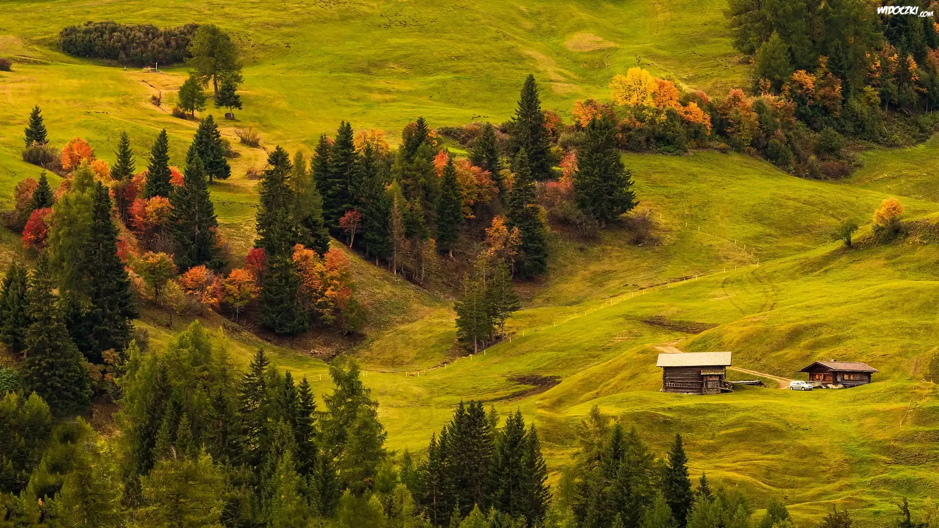 Płaskowyż, Seiser Alm, Dolina Val Gardena, Wzgórza, Łąki, Drewniane, Domy, Drzewa, Włochy