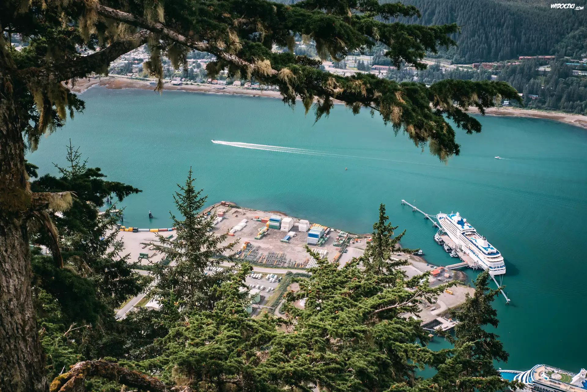 Stany Zjednoczone, Juneau, Alaska, Rzeka, Kanał Gastineau, Port, Statek, Drzewa, Domy