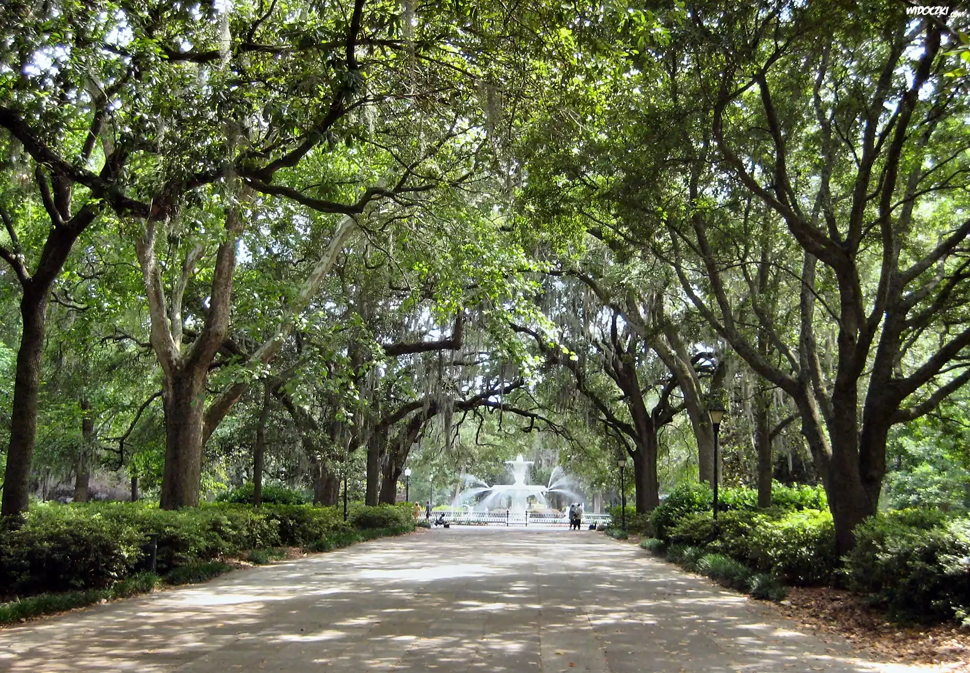Georgia, Savannah, Forsyth, Park