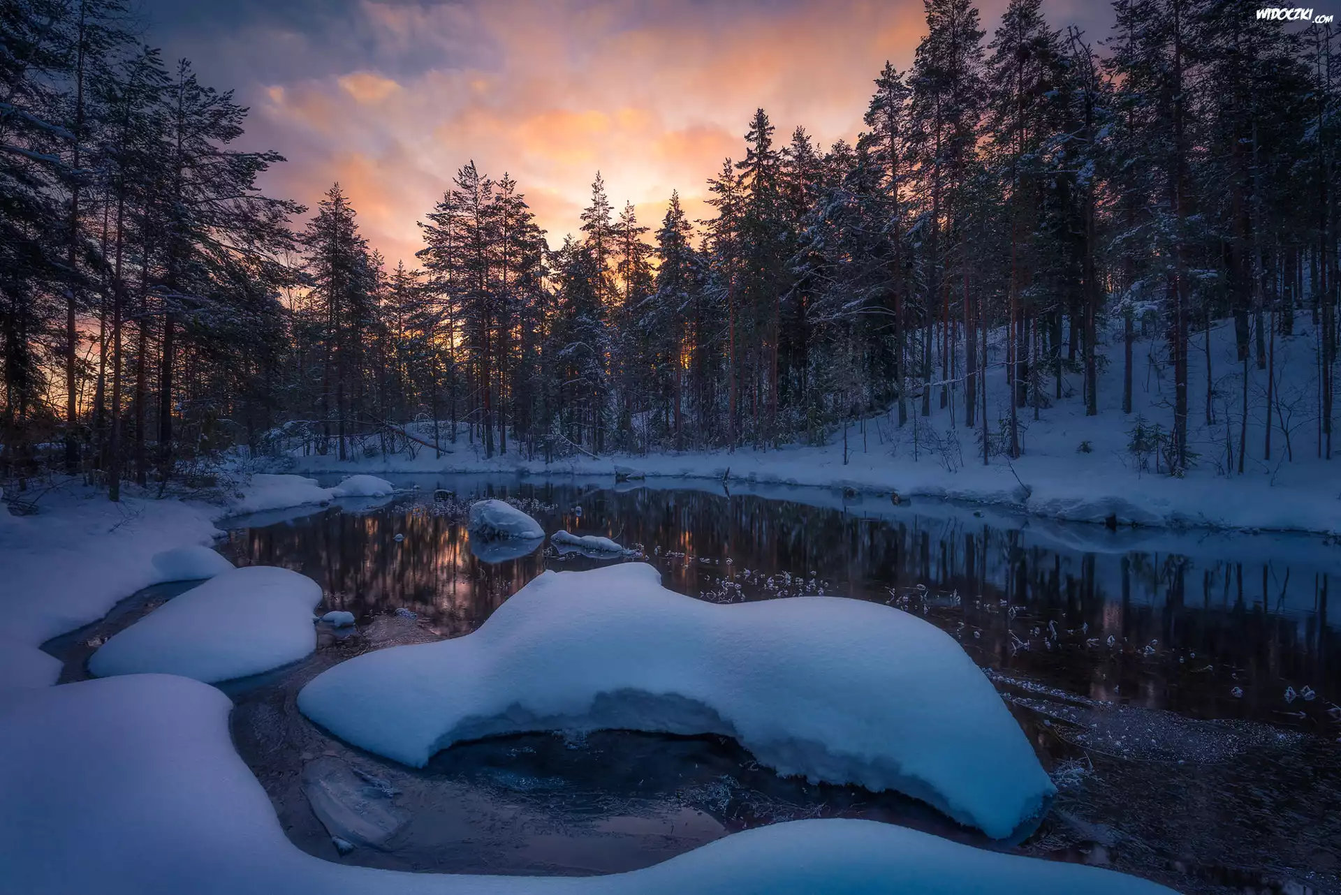 Norwegia, Gmina Ringerike, Drzewa, Zima, Åšnieg, Jezioro