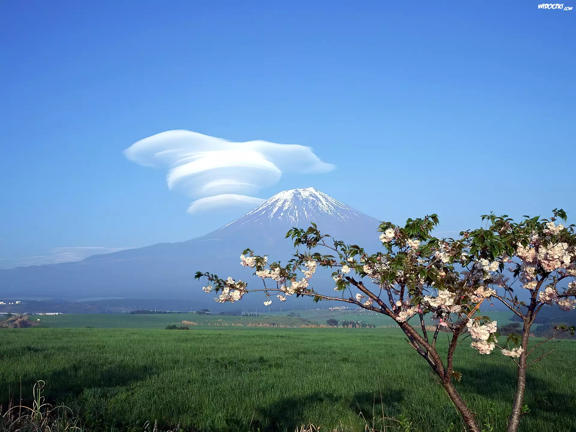 Góra, Fuji, Fantazyjna, Chmura