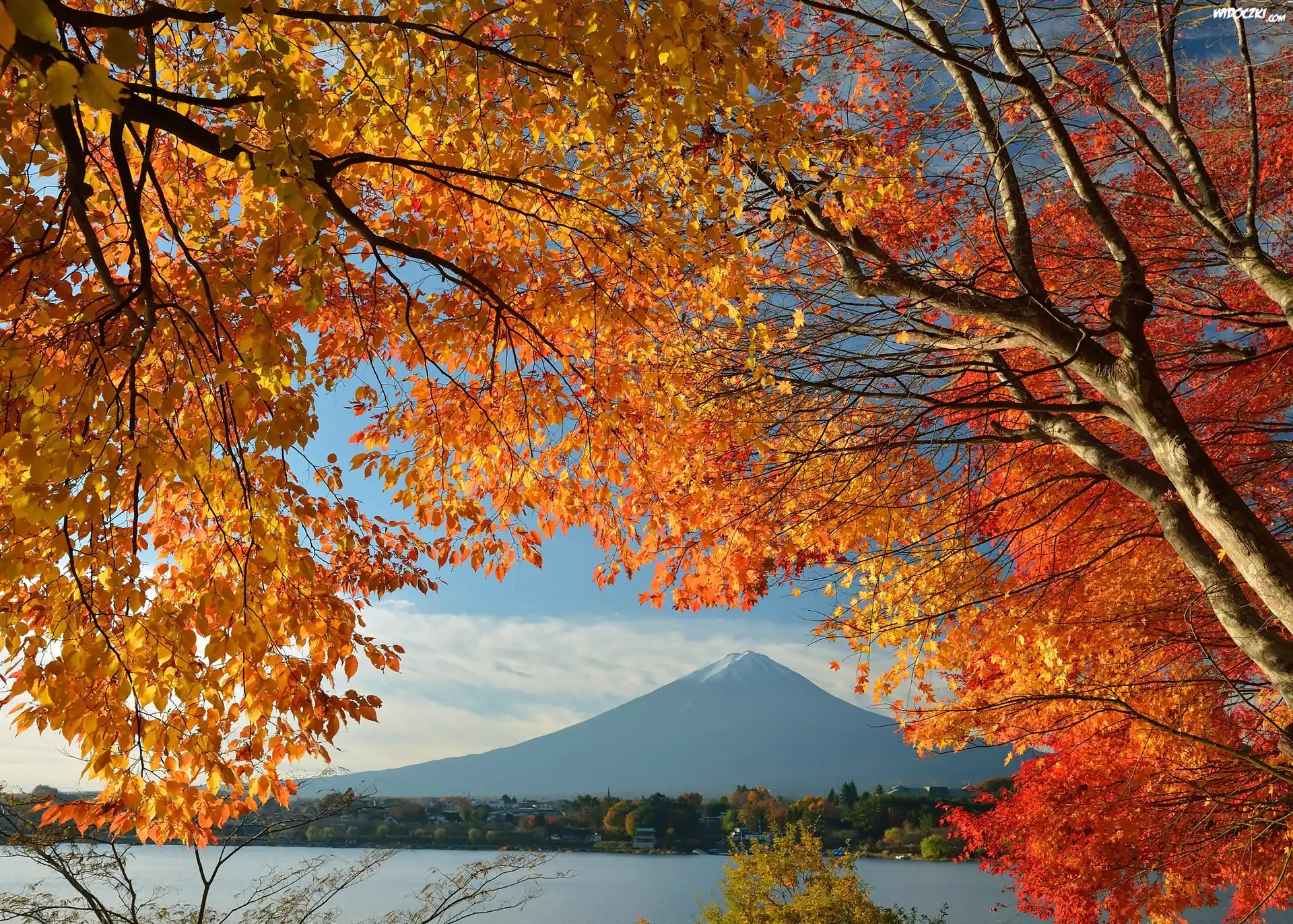 Góra, Fuji, Gałęzie, Japonia