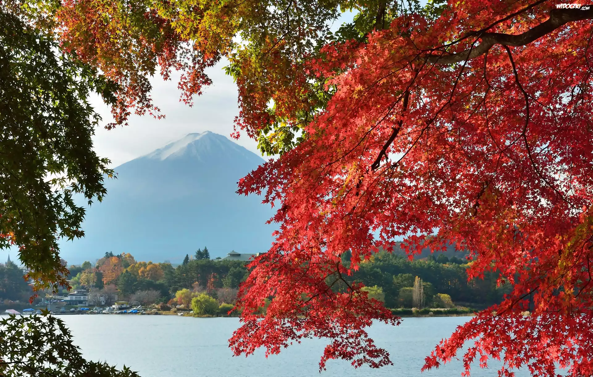 Góra, Fuji, Gałęzie, Japonia