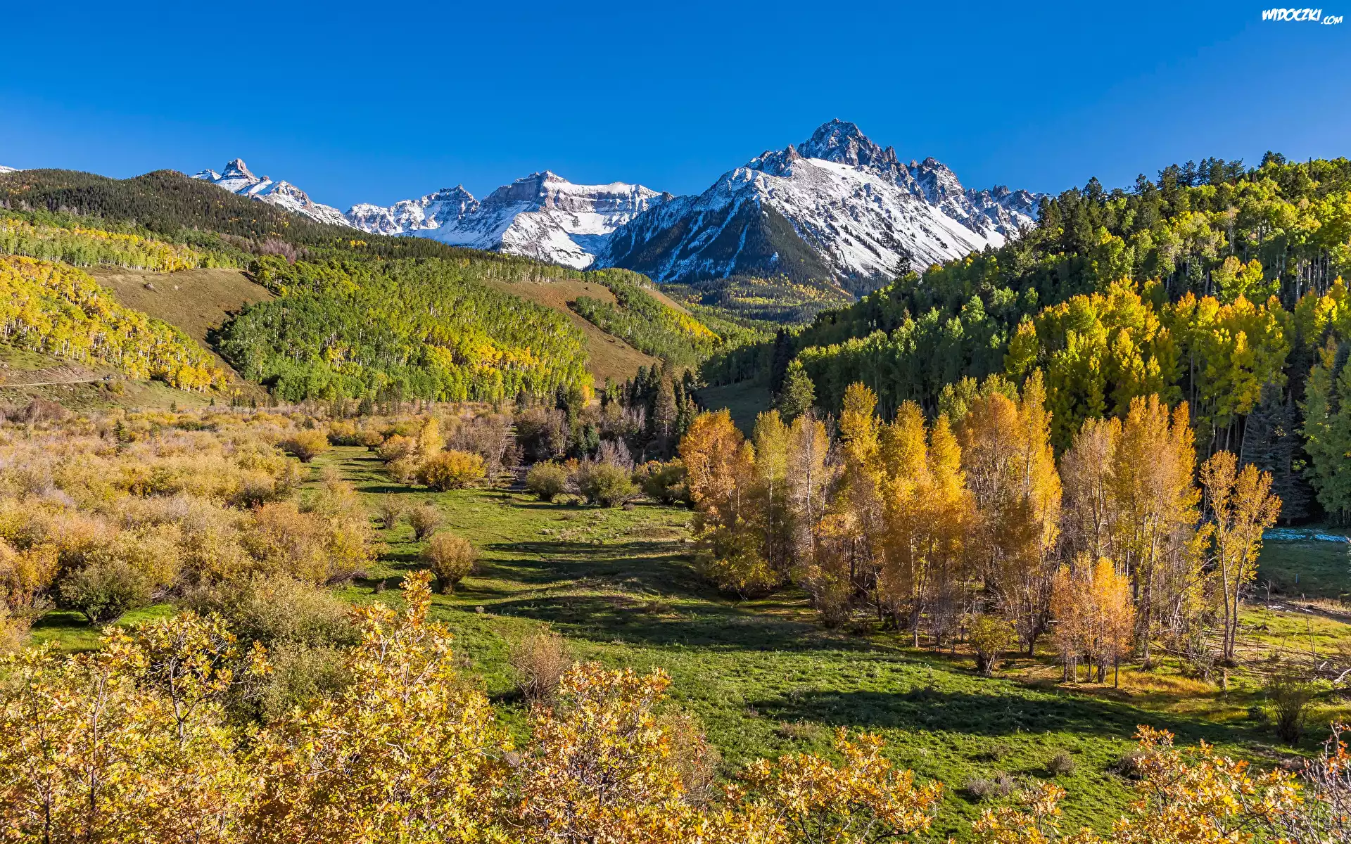 Góry, San Juan Mountains, Góra Mount Sneffels, Lasy, Drzewa, Jesień, Polana, Kolorado, Stany Zjednoczone