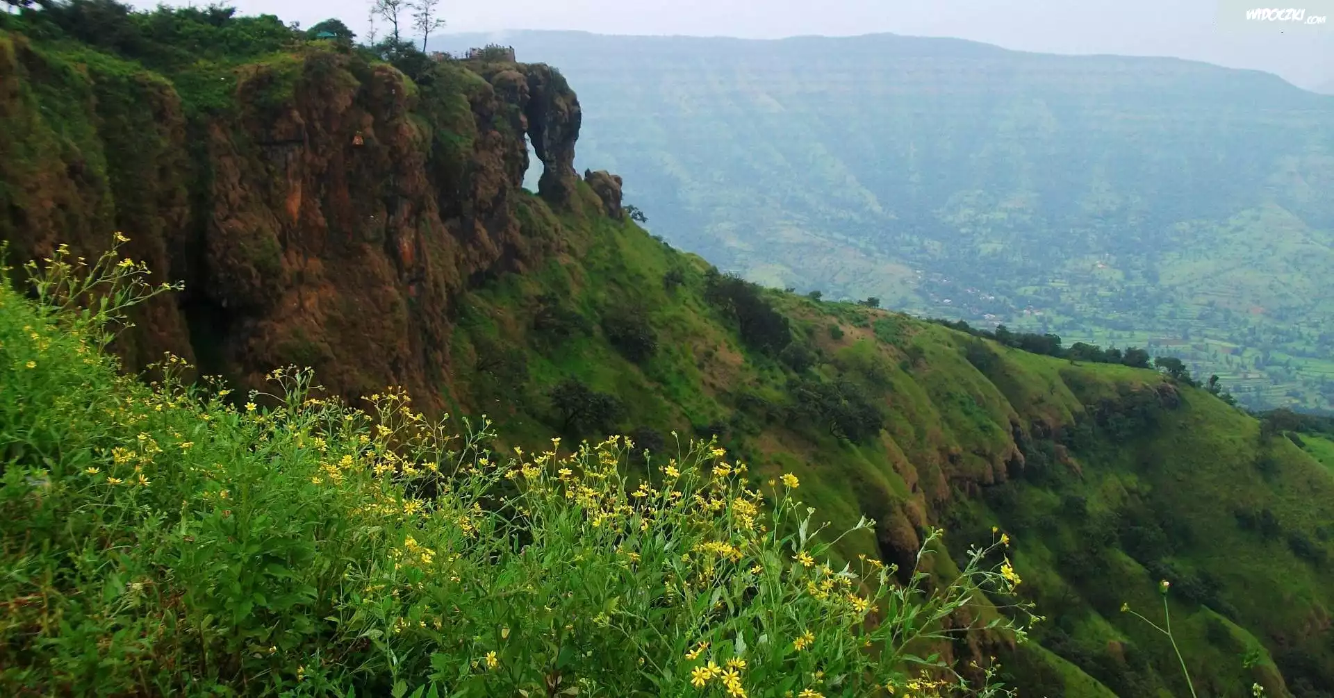 Góra, Kwiatki, Mahabaleshwar, Indie