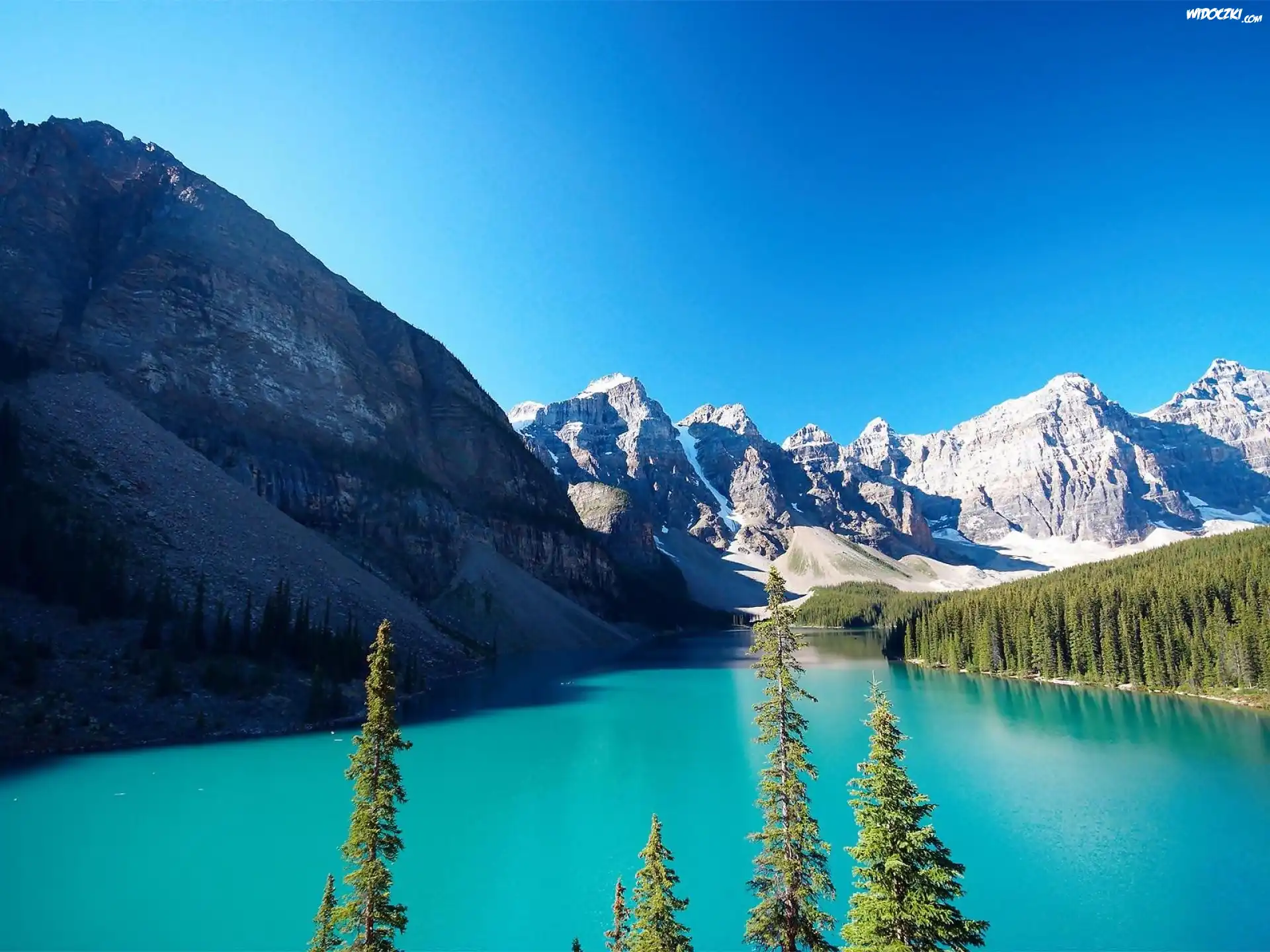Kanada, Prowincja Alberta, Park Narodowy Banff, Jezioro Moraine, Świerki