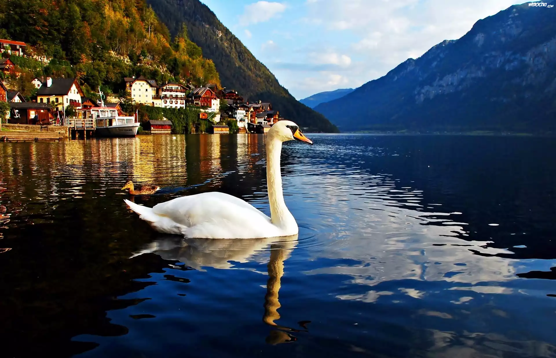 Góry, Jezioro, Łabędź, Hallstatt