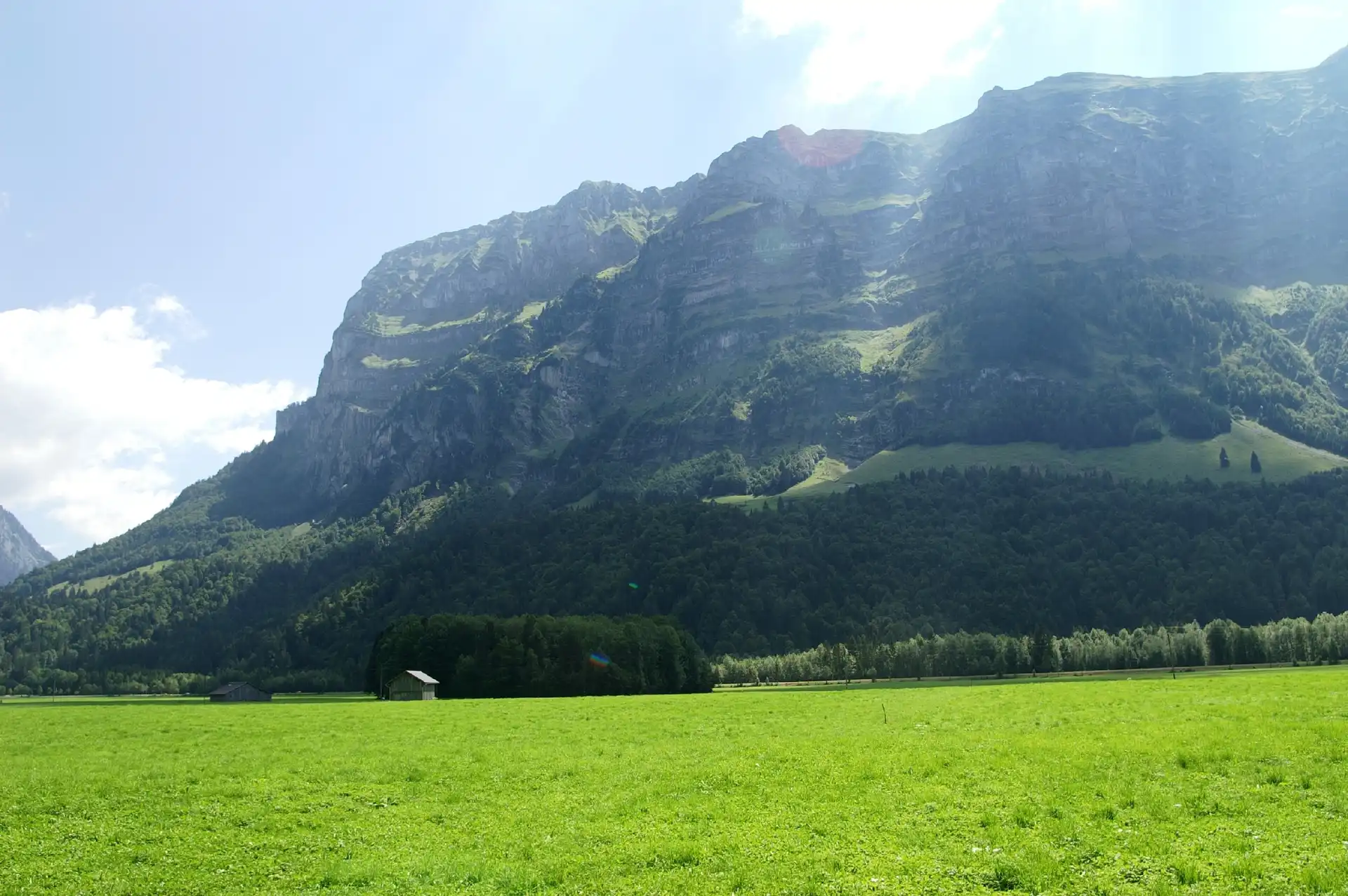 Łąka, Góry, Drzewa