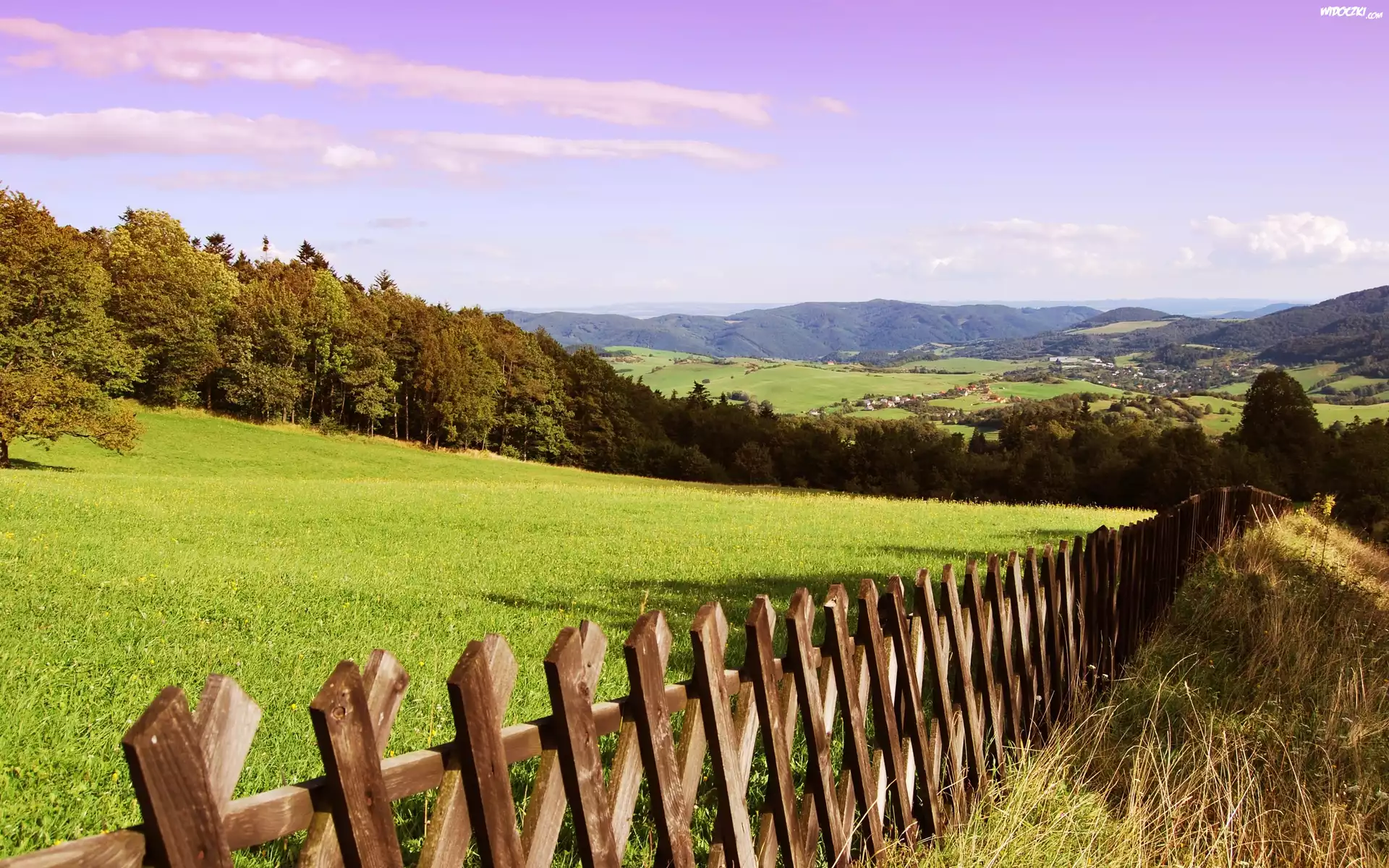 Góry, Las, Łąka, Płot