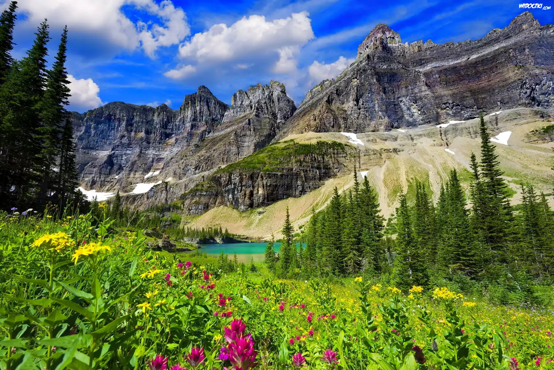Góry, Jezioro Iceberg Lake, Park Narodowy Glacier, Drzewa, ¦wierki, £±ka, Kwiaty, Trawa, Niebo, Stan Montana, Stany Zjednoczone
