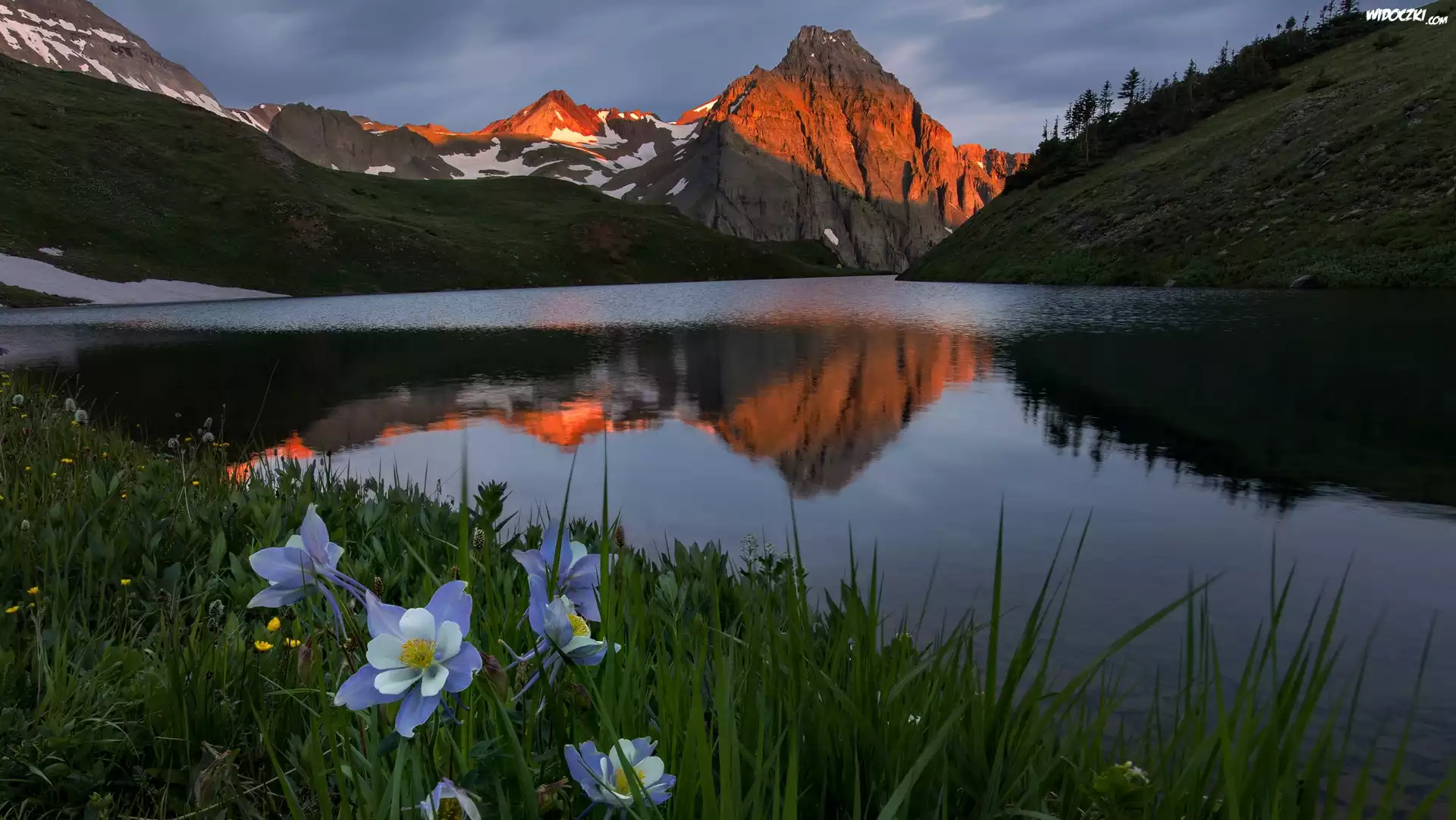 Góry, San Juan Mountains, Góra Sneffels, Jezioro, Blue Lake, Łąka, Kwiaty, Orlik niebieski, Stan Kolorado, Stany Zjednoczone