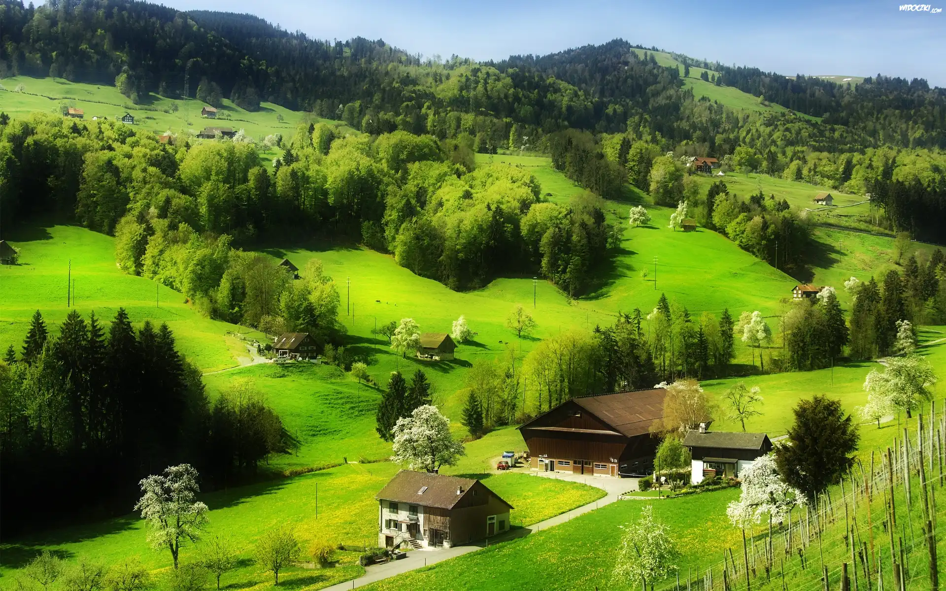 Góry, Lasy, Łąki, Budynki