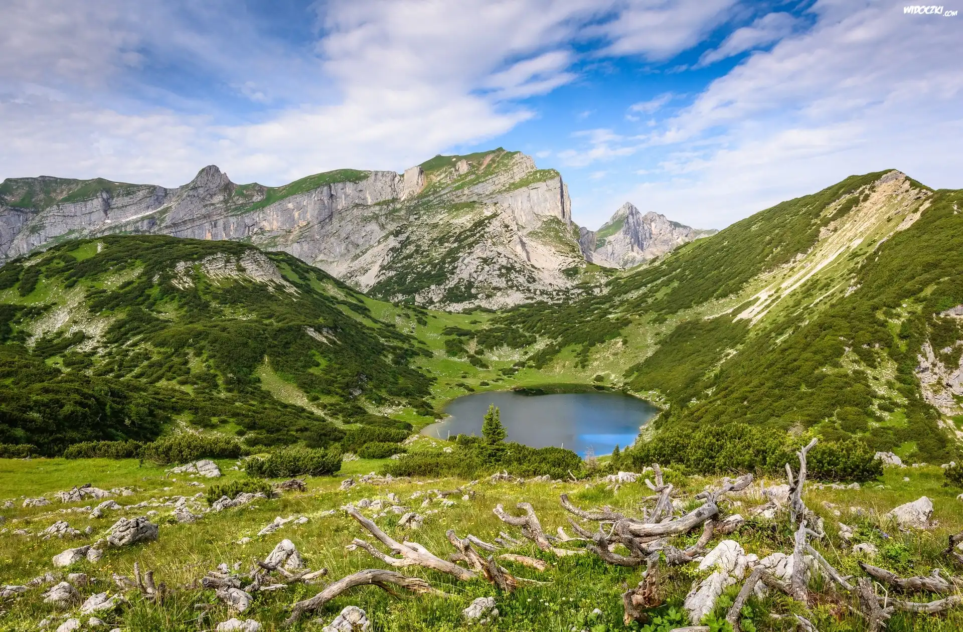 Austria, Góry, Jezioro Zireiner See, Wzgórza, Konary