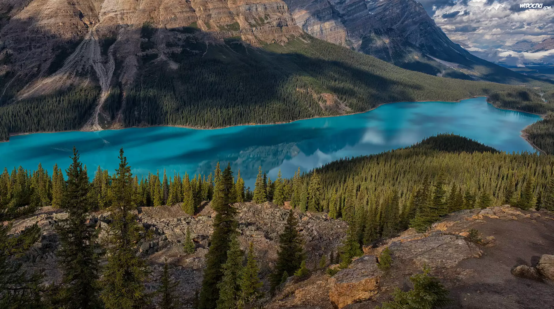 Góry, Skały, Drzewa, Jezioro, Peyto Lake, Park Narodowy Banff, Kanada