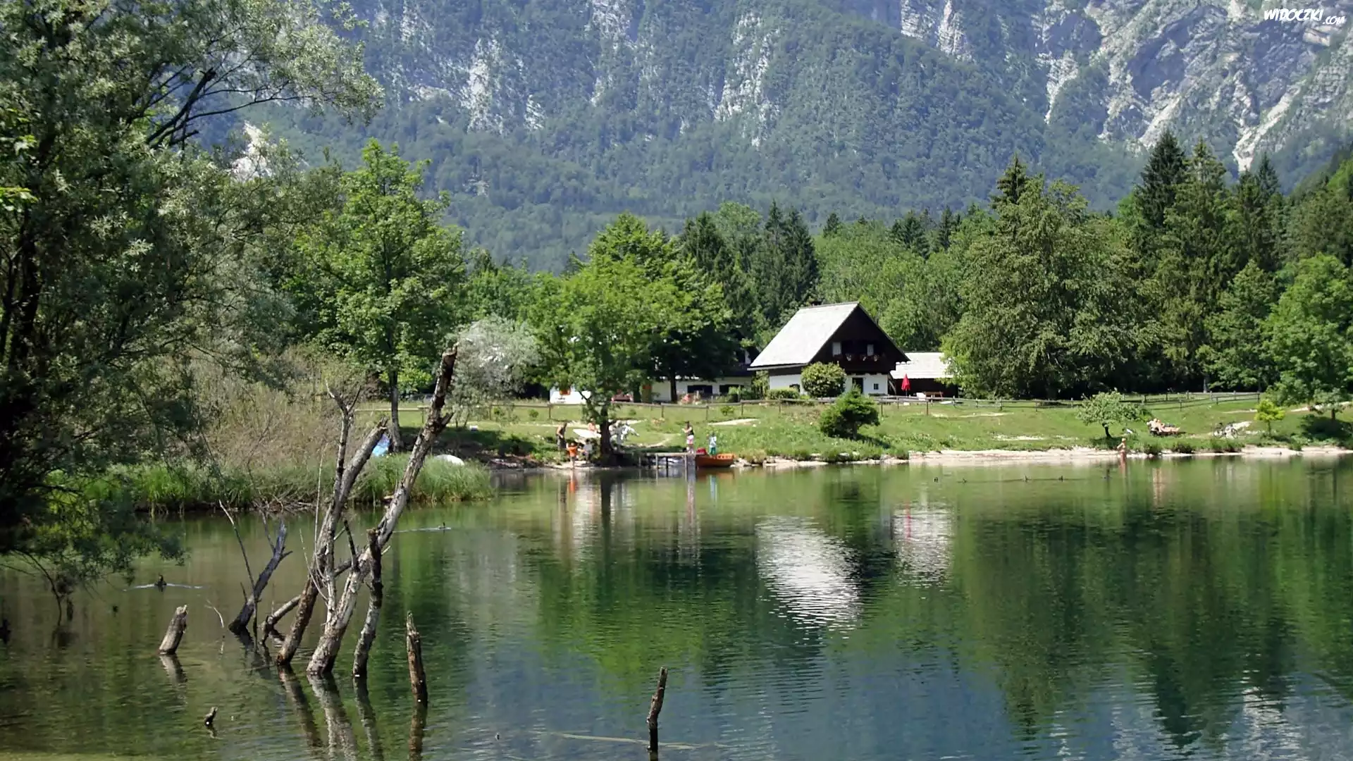 Góry, Lasy, Jezioro, Bohinj, Domy