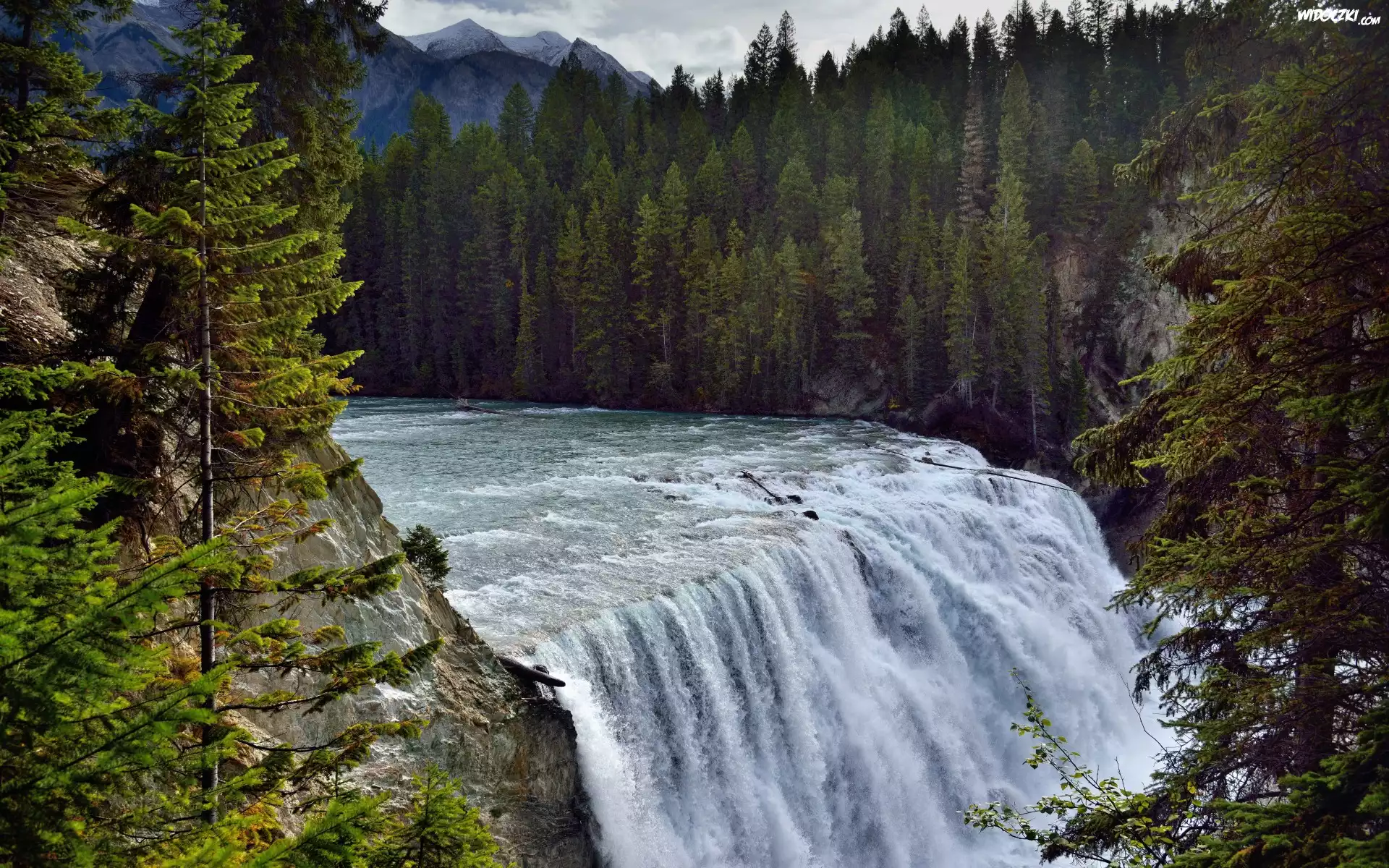 Góry, Wodospad Wapta Falls, Rzeka Kicking Horse, Park Narodowy Yoho, Las, Drzewa, Prowincja Kolumbia Brytyjska, Kanada