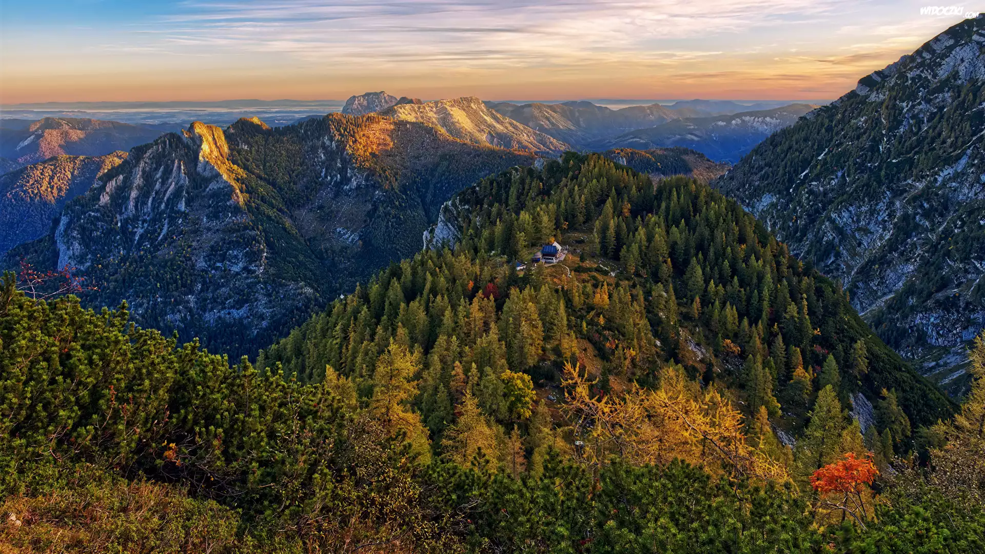 Góry, Lasy, Dom, Schronisko