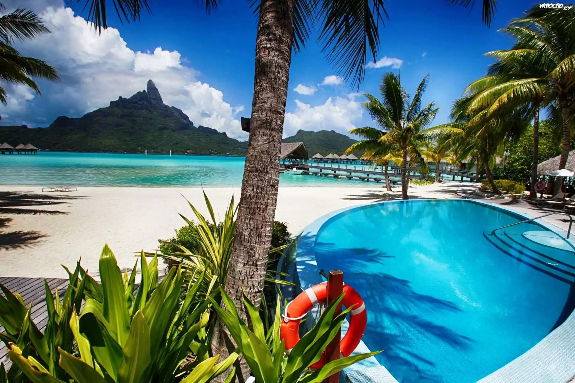 Domki, Góry, Morze, Basen, Palmy, Bora Bora