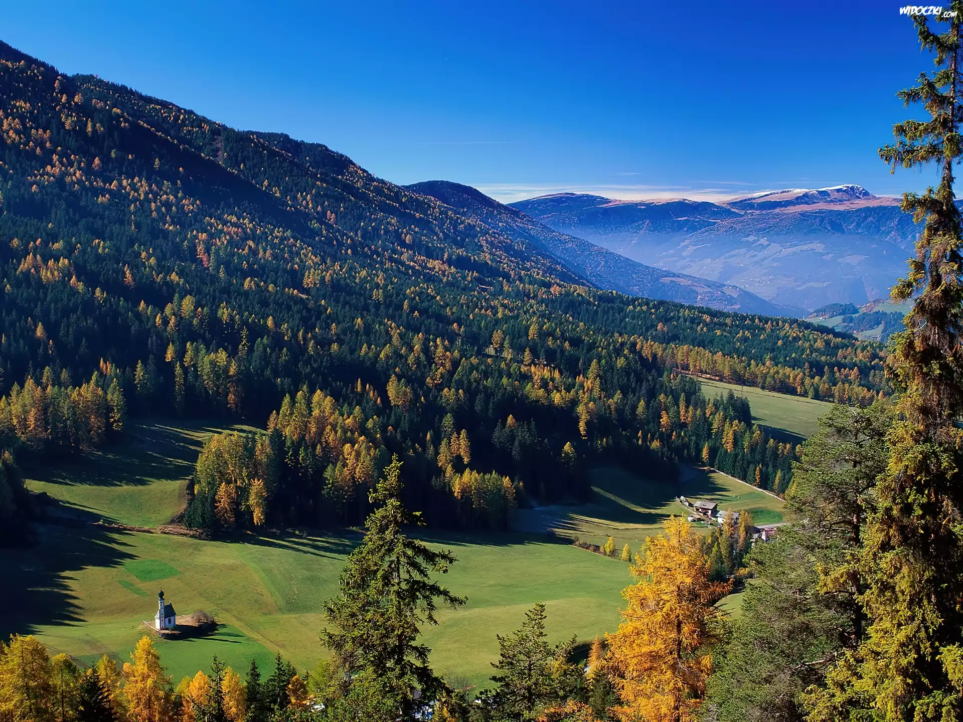 Góry, Łąki, Drzewa, Domek