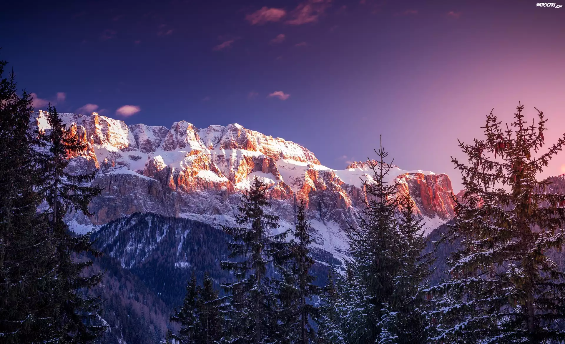 Góry, Dolomity, Drzewa, Świerki