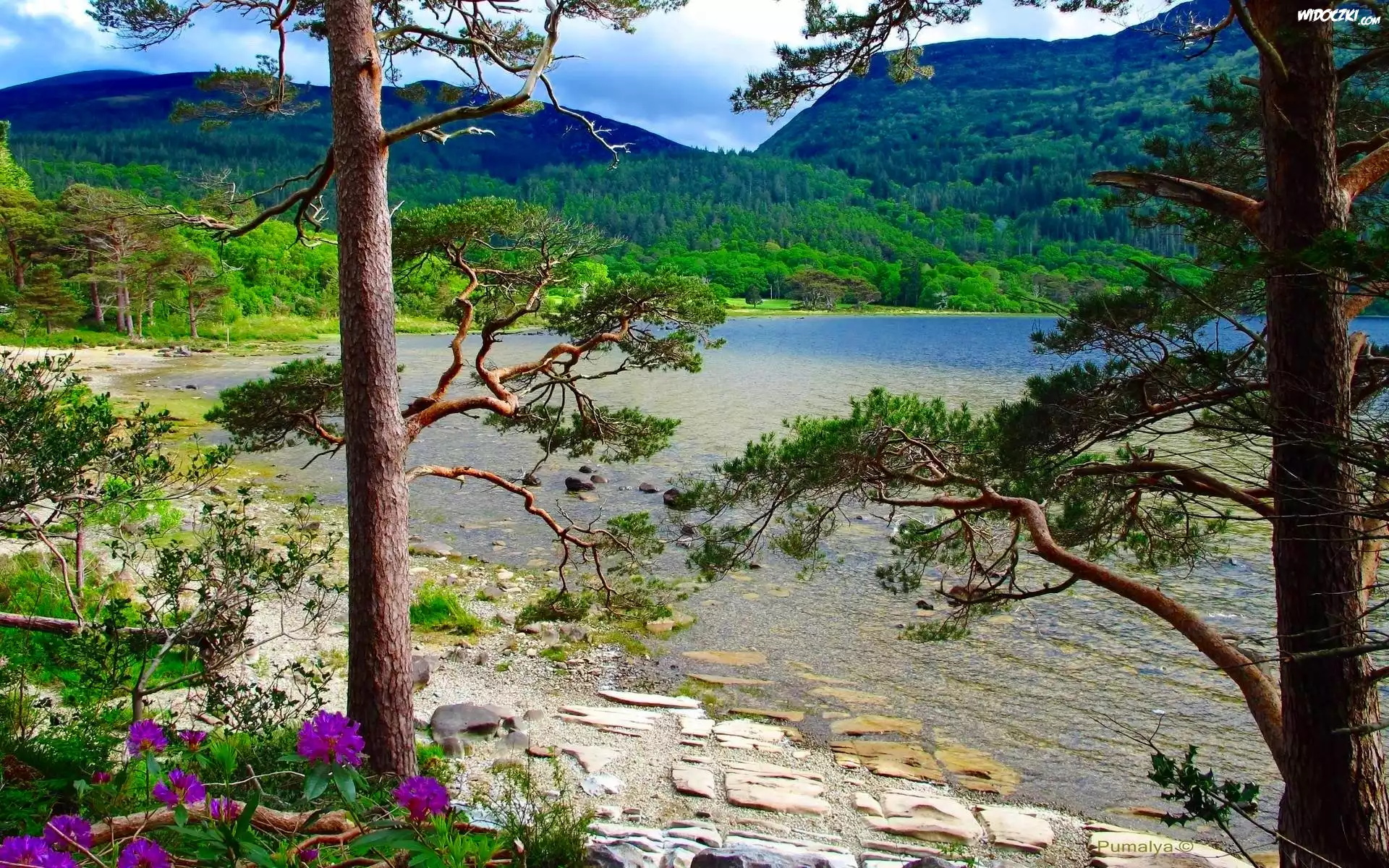 Góry, Jezioro, Drzewa, Irlandia