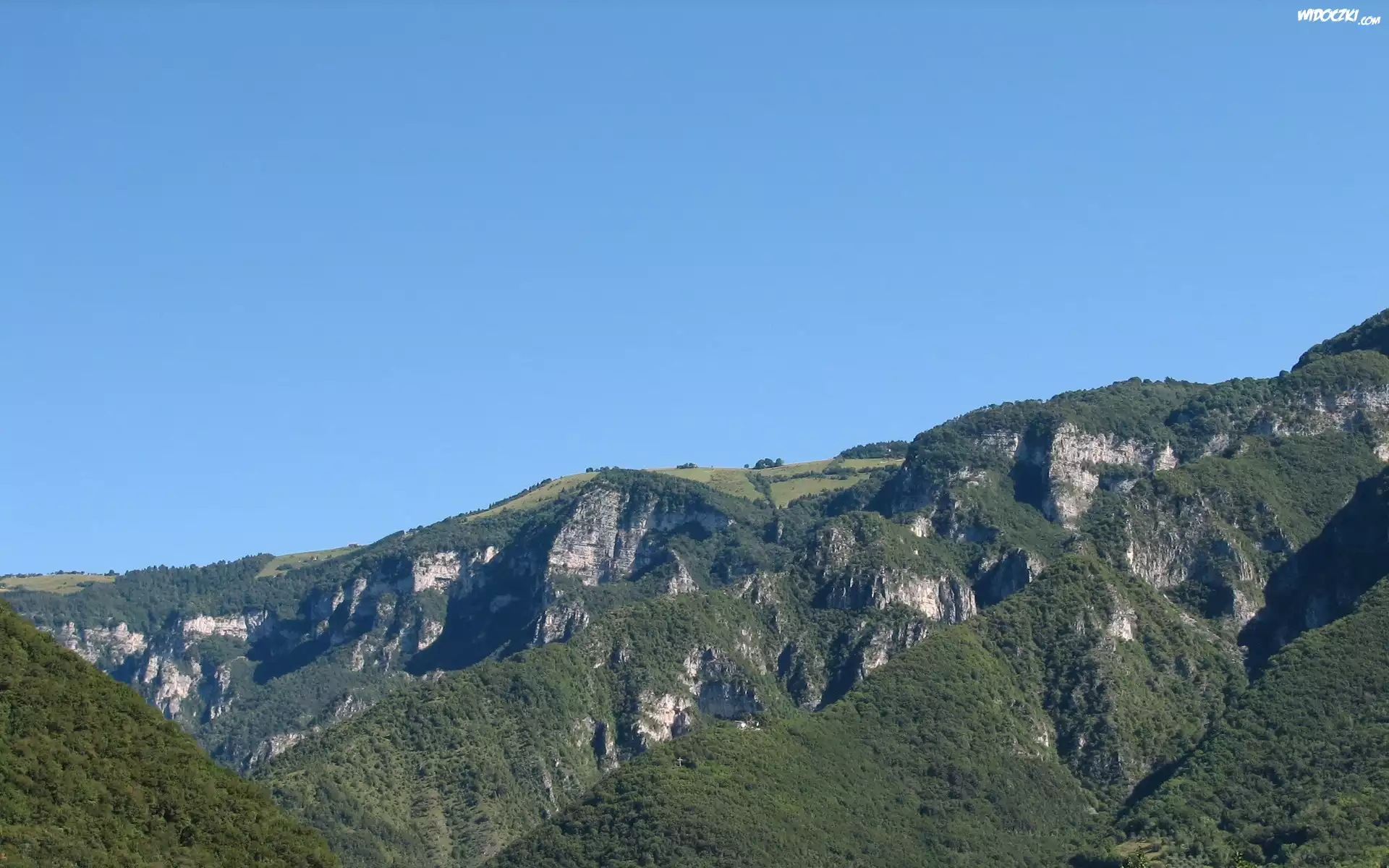 Góry, Wysokość, Las, Drzewa, Trawa