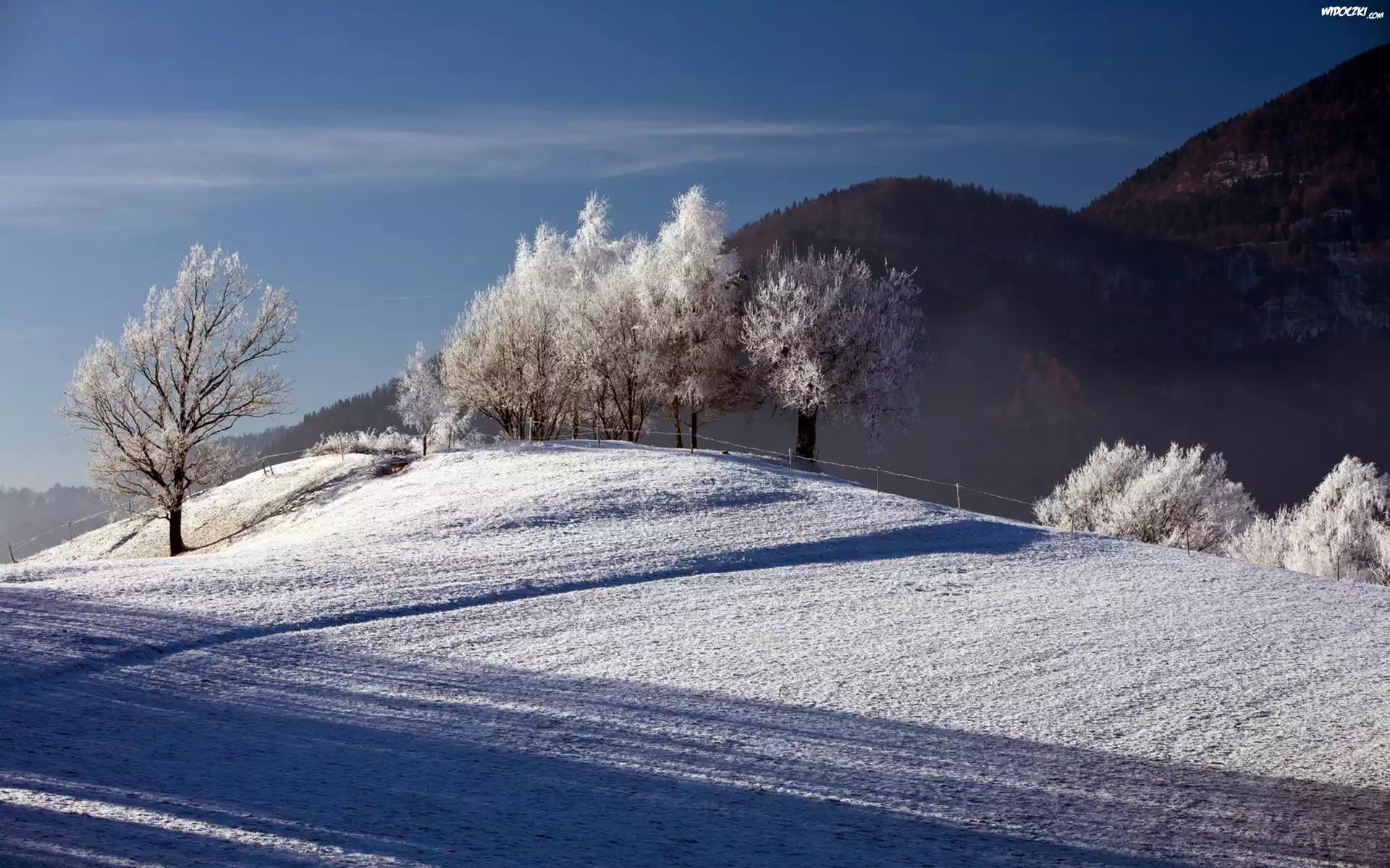 Góry, Pola, Drzewa, Zima