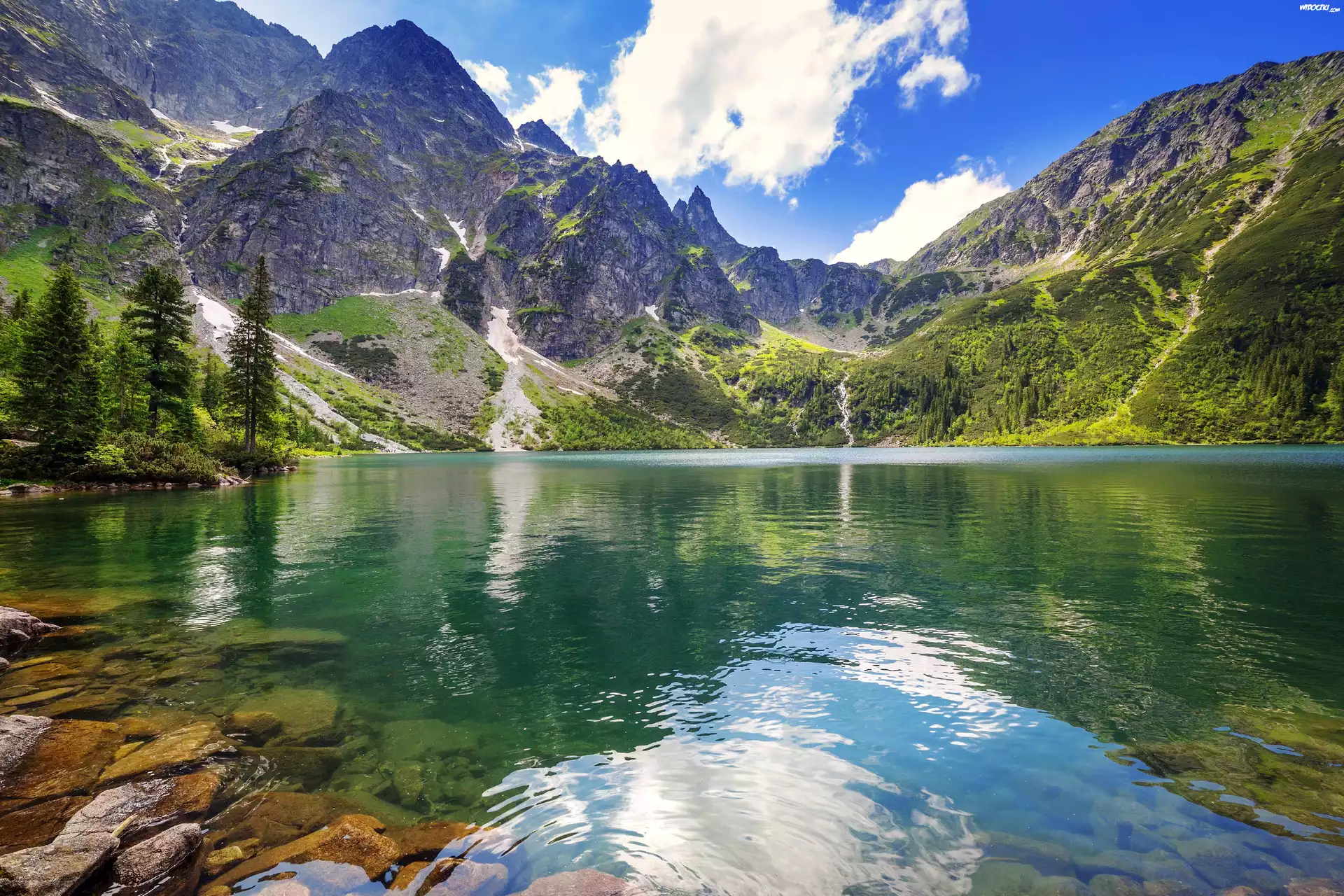 Polska, Góry Tatry, Jezioro Morskie Oko, Lato, Drzewa