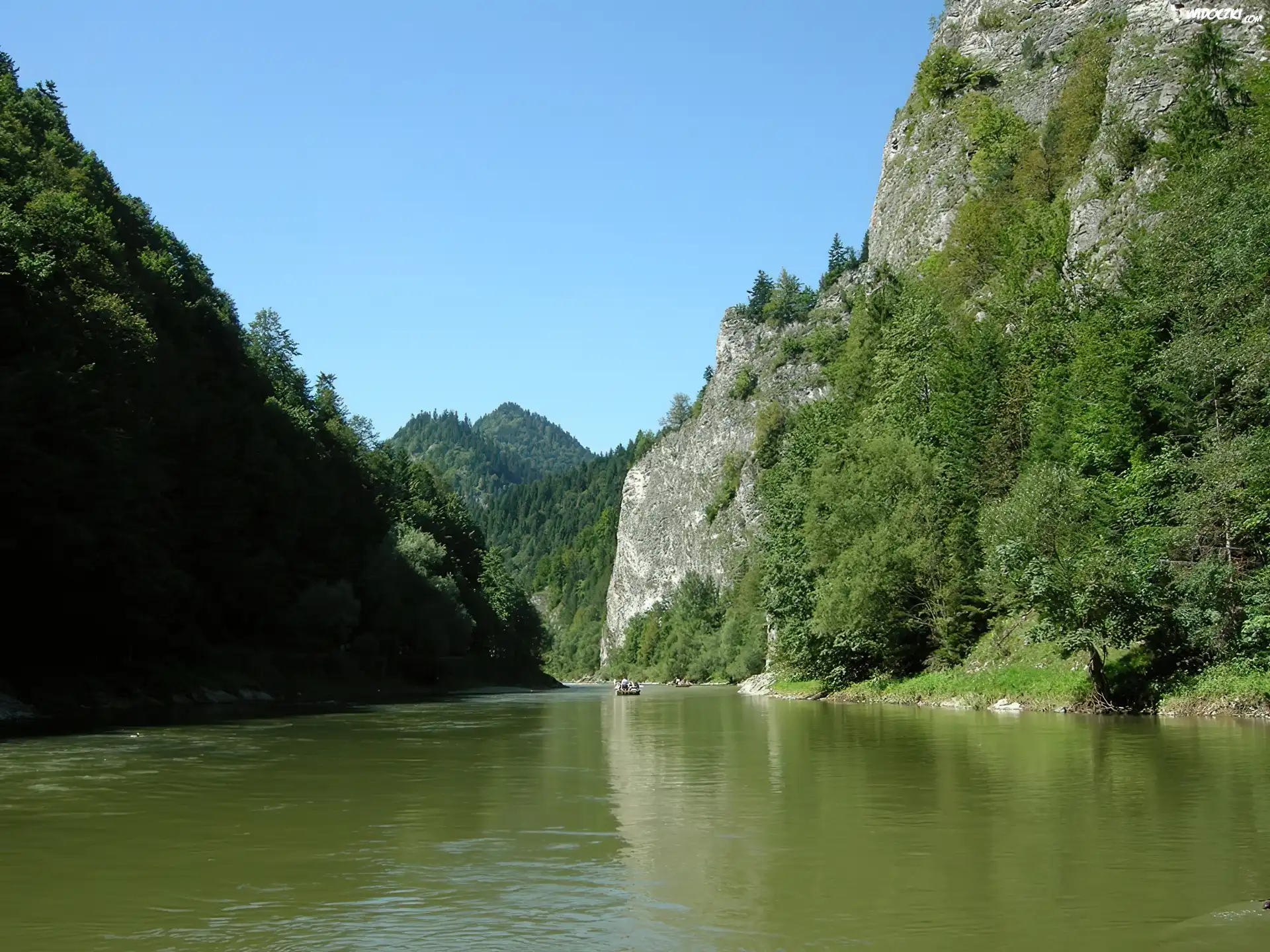 Dunajec, Góry, Drzewa