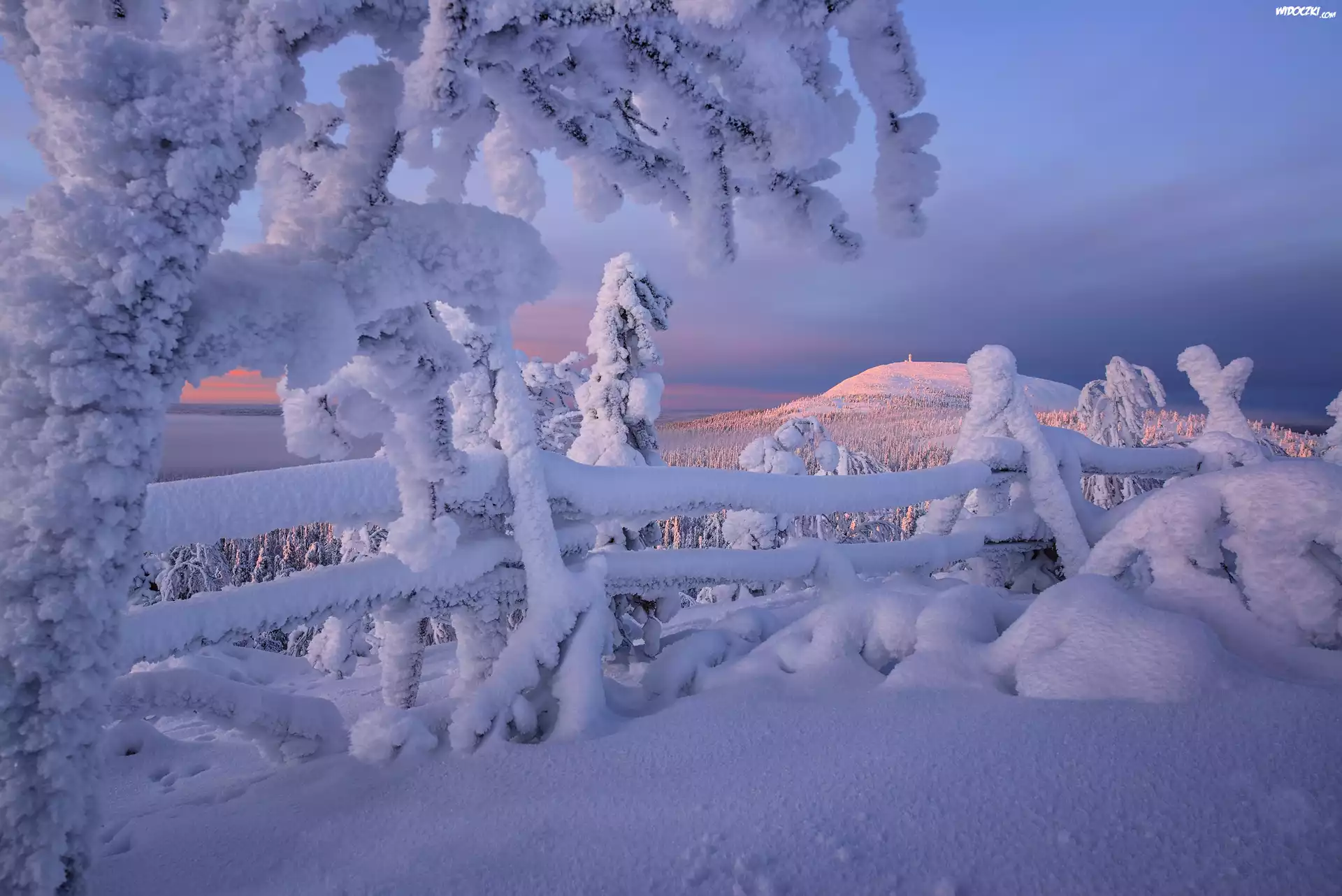 Zima, Góry, Drzewa, Ogrodzenie, Rezerwat Valtavaara, Laponia, Finlandia