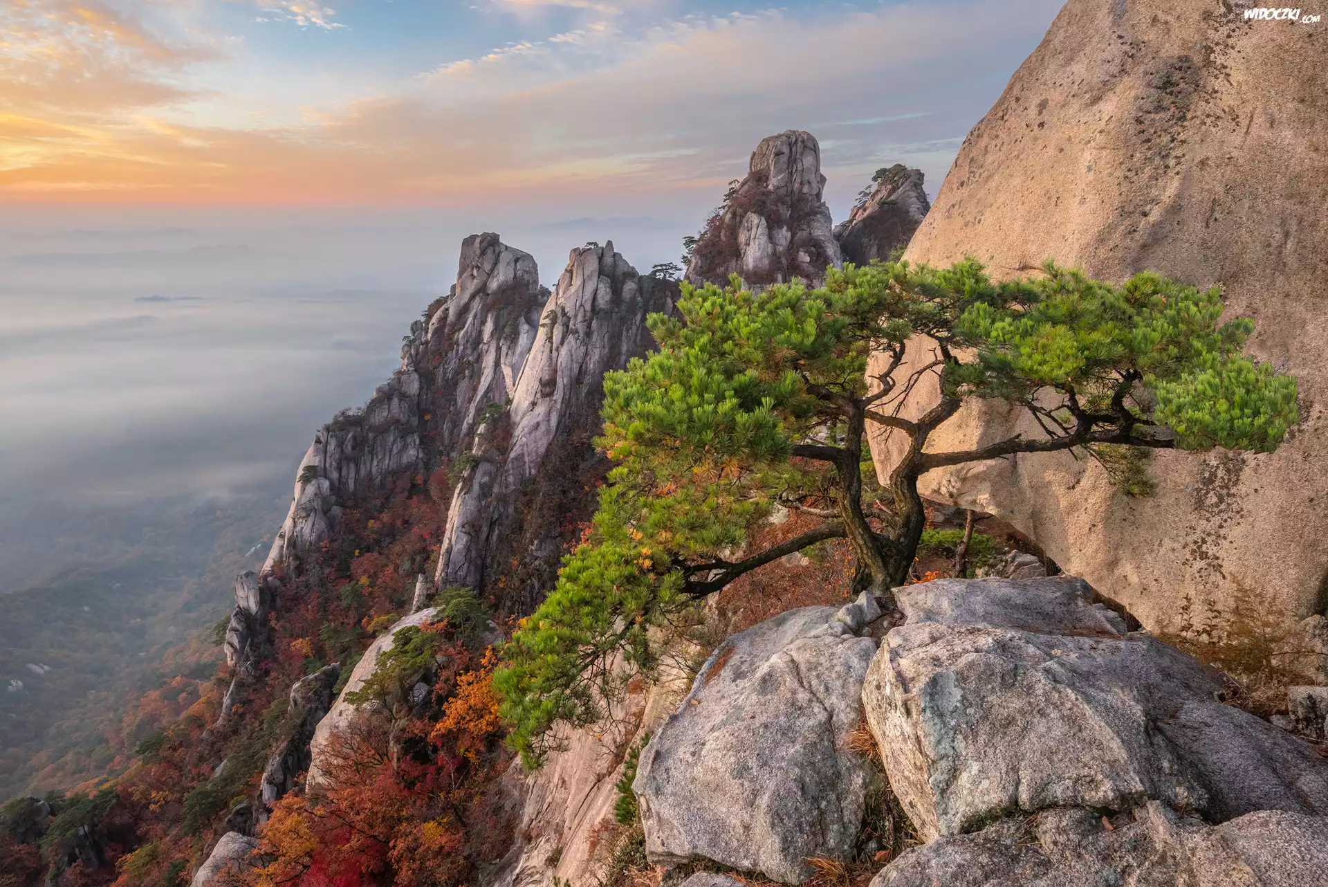Góry, Skały, Sosna, Góra Dobongsan, Park Narodowy Bukhansan, Prowincja Gyeonggi-do, Korea Południowa