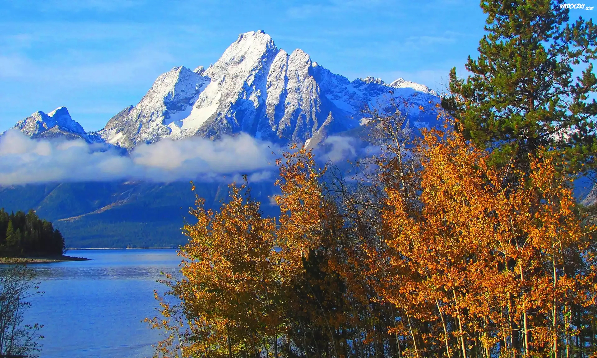 Stany Zjednoczone, Stan Wyoming, Park Narodowy Grand Teton, Góry, Szczyt Mount Moran, Drzewa, Jezioro Jackson Lake