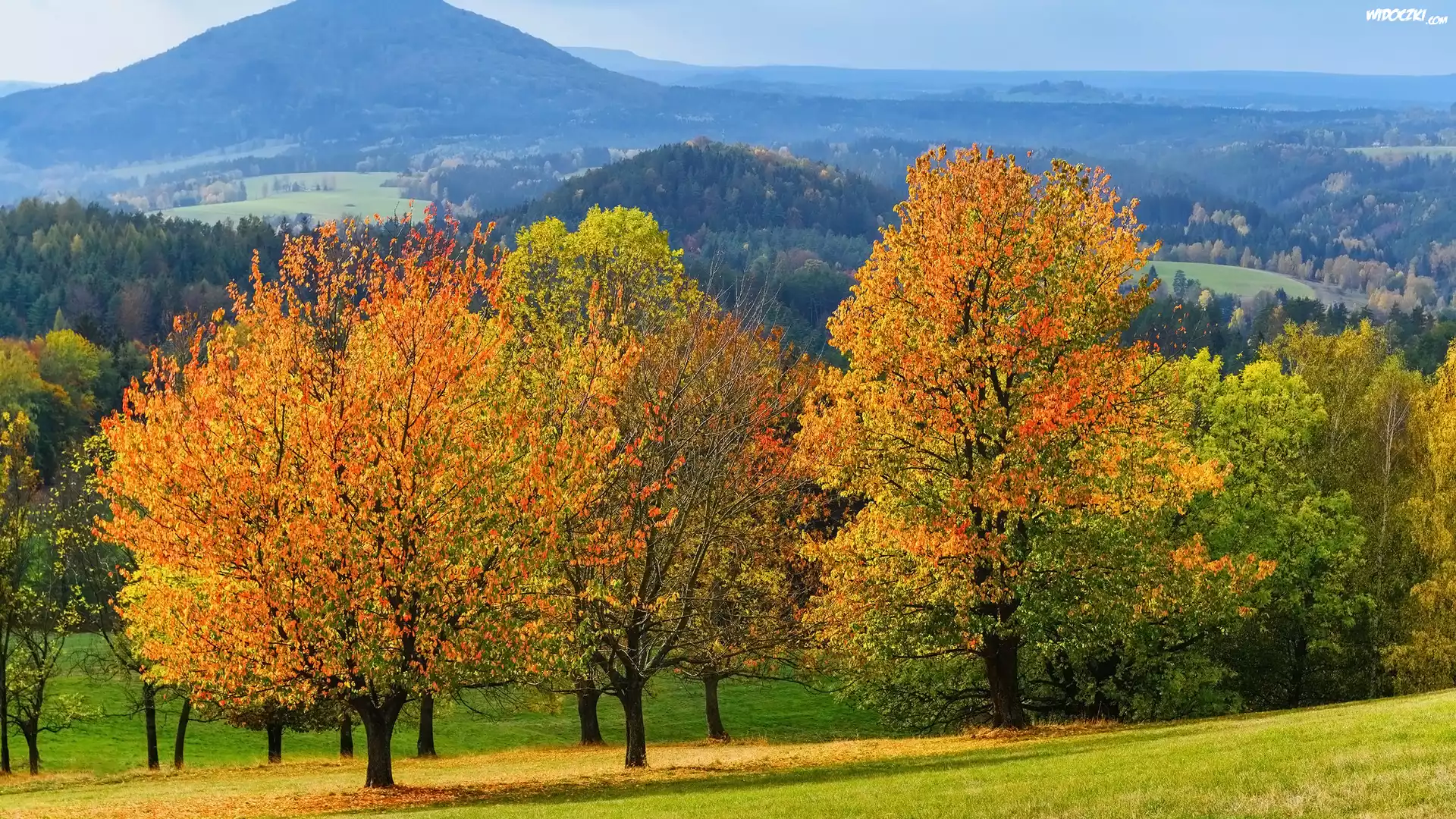 Jesień, Drzewa, Liście, Góry