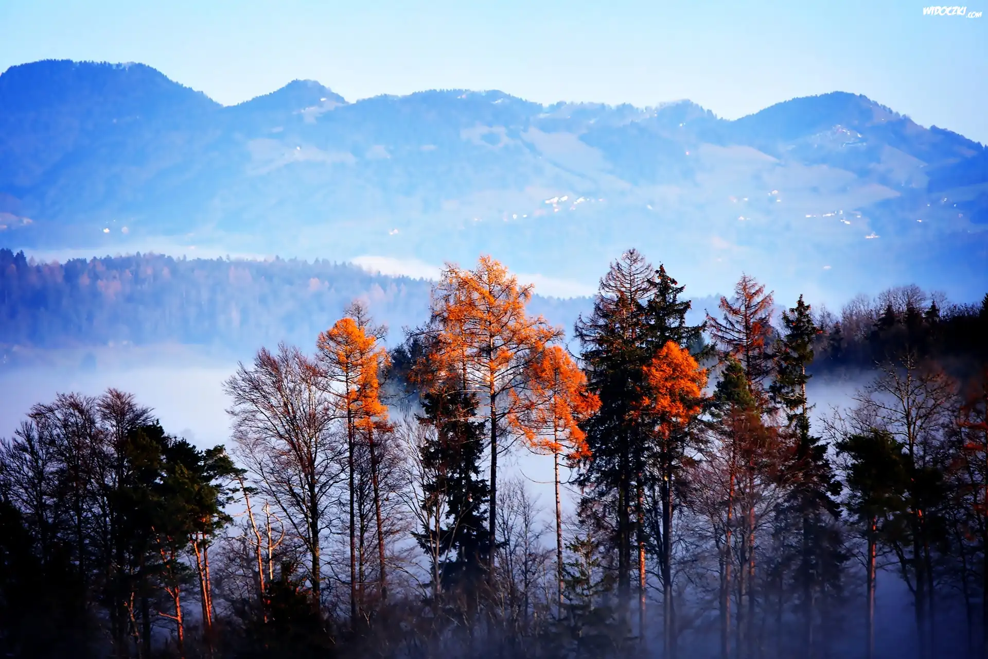 Góry, Mgła, Jesień, Drzewa
