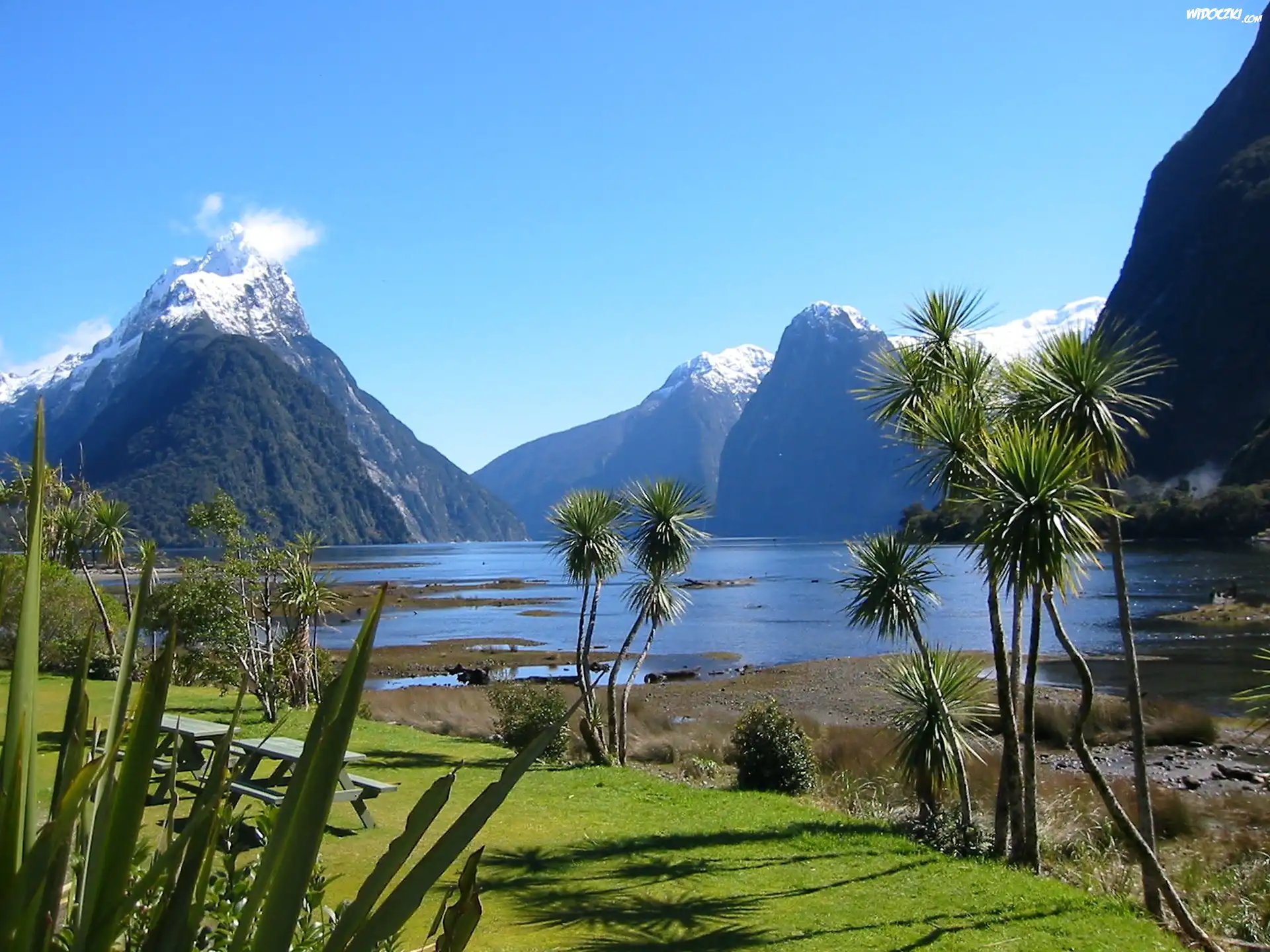 Jezioro, Góry, Roślinność, Milford Sound, Nowa Zelandia
