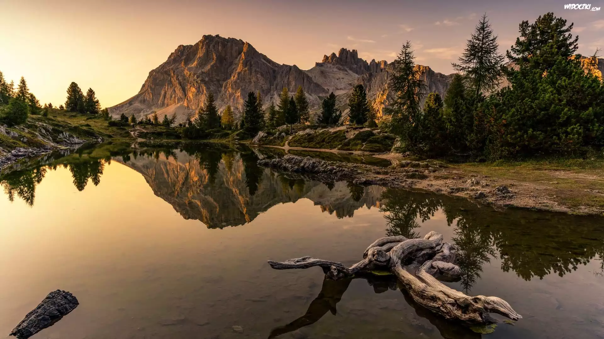 Włochy, Góry, Dolomity, Jezioro, Lago Limides, Drzewa, Konar