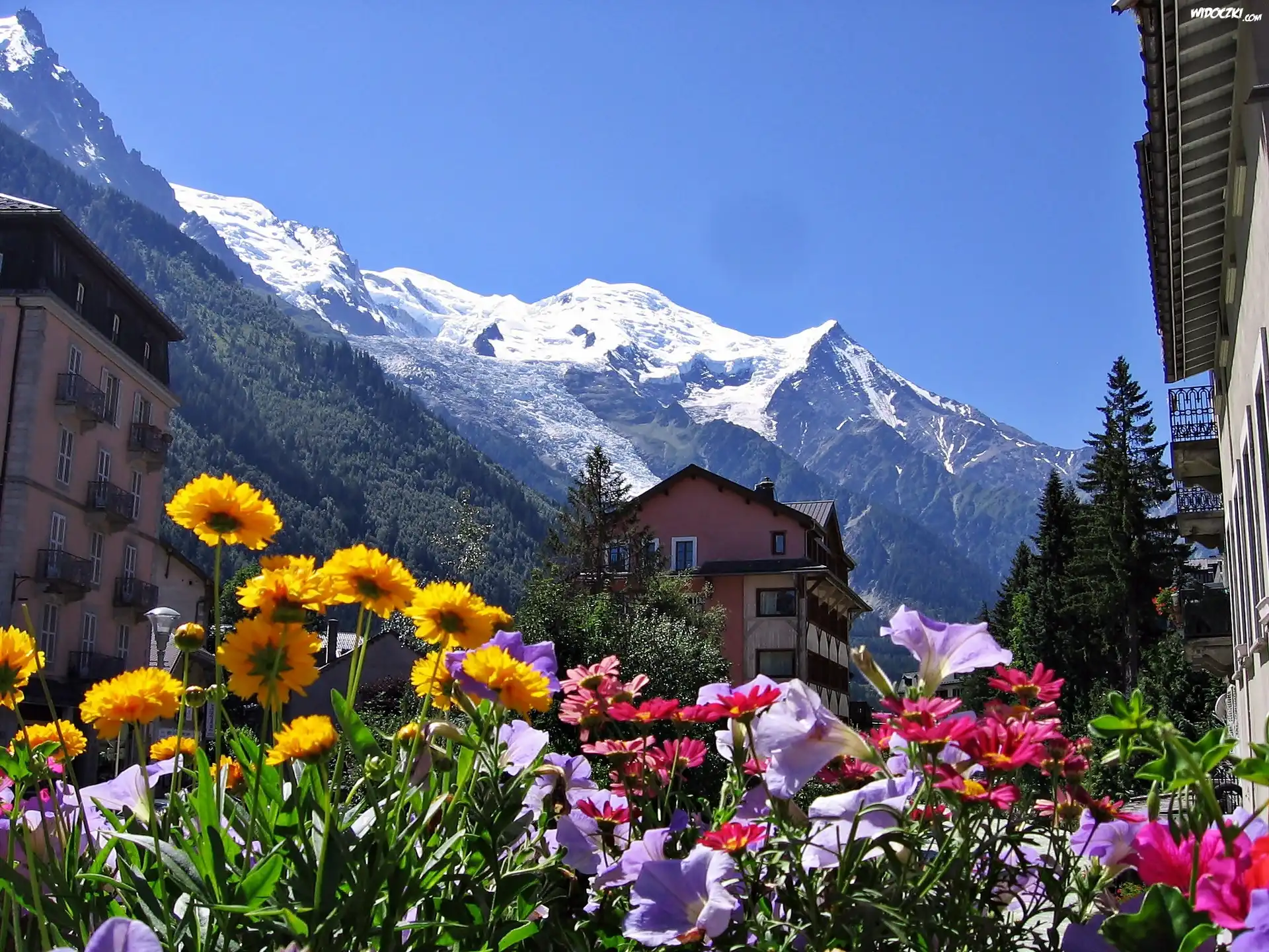 Góry, Domy, Kwiaty, Chamonix