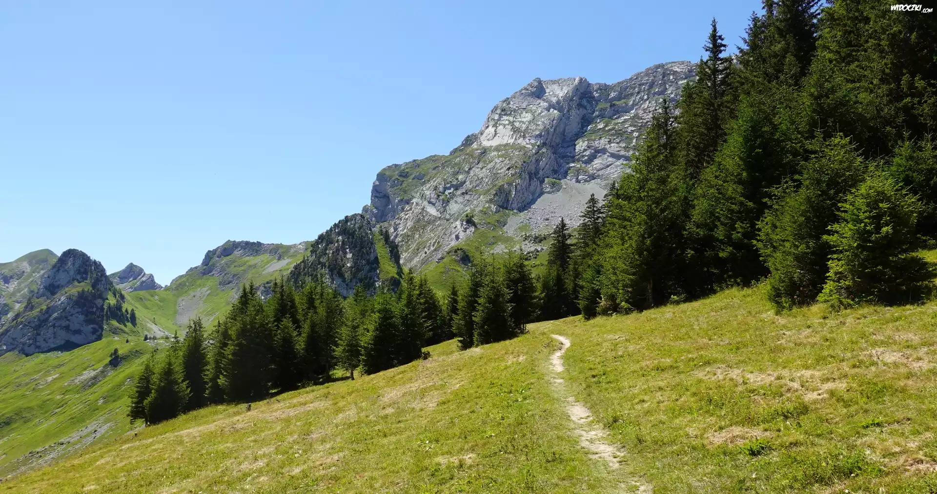 Góry, Drzewa, Las, Ścieżka