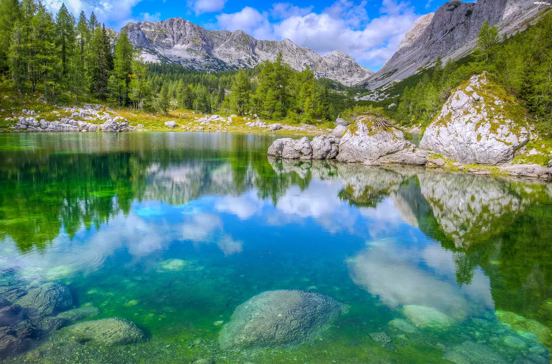 Góry, Jezioro, Las, Kamienie
